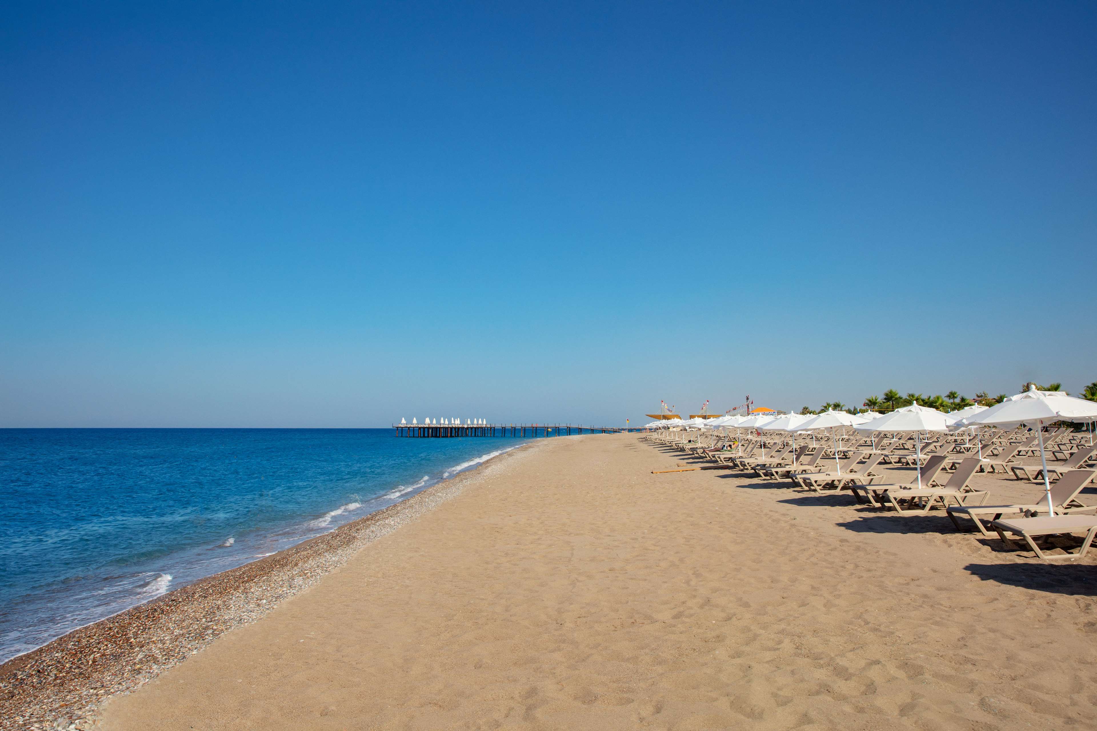 Alarcha Hotels & Resort