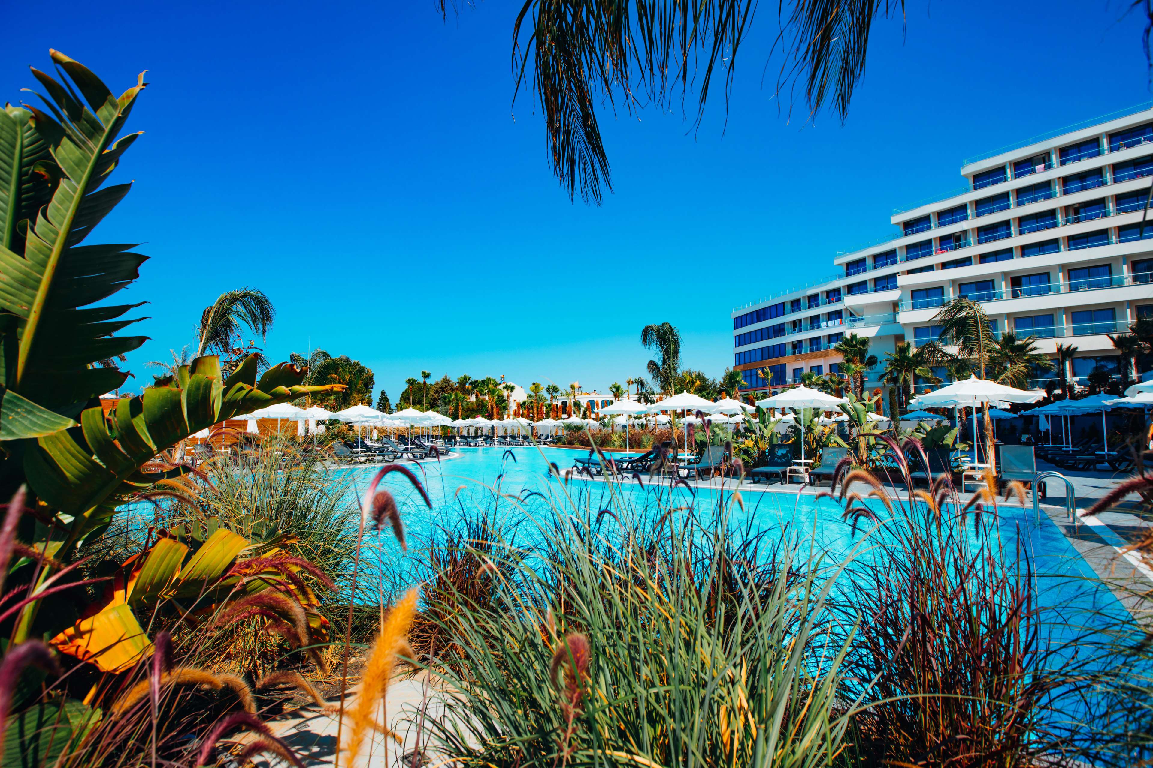 Alarcha Hotels & Resort