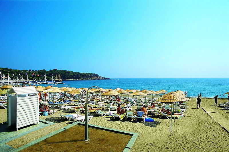 Leodikya Kirman Premium
