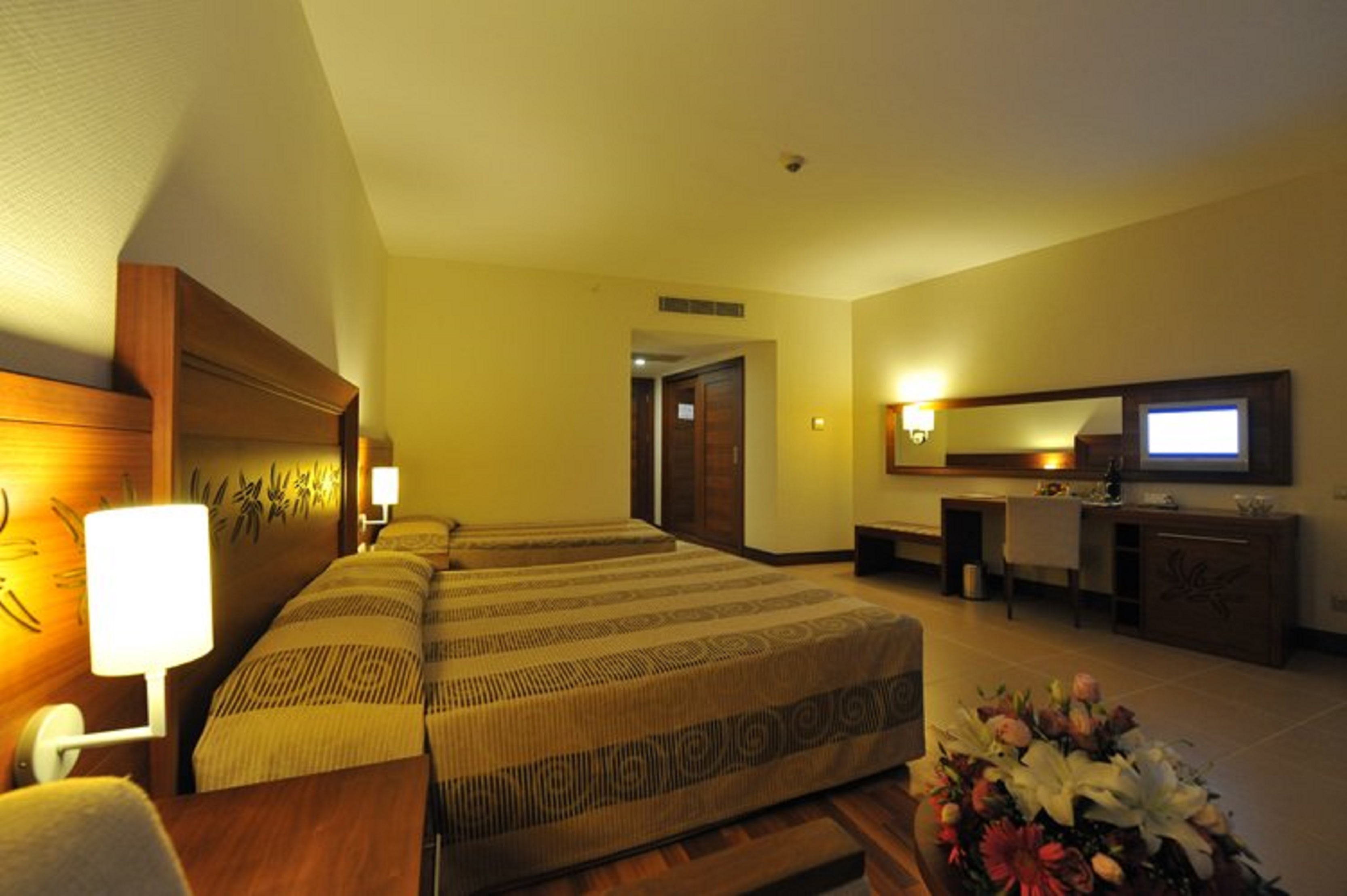 Leodikya Kirman Premium