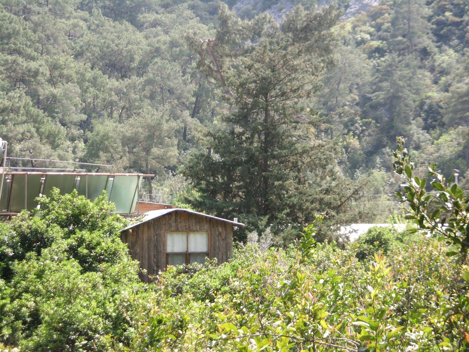 Olympos Orange Pension