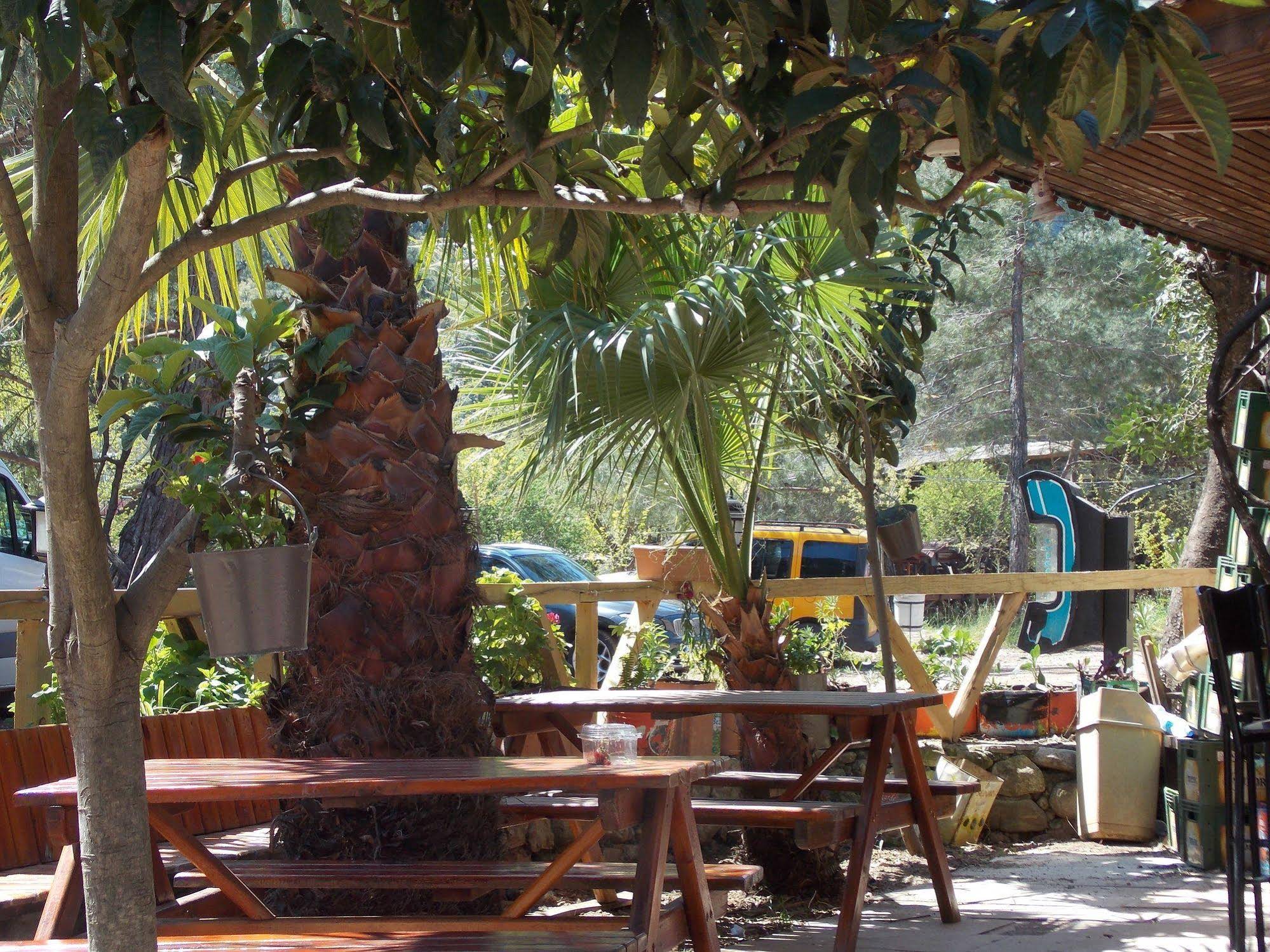 Olympos Orange Pension