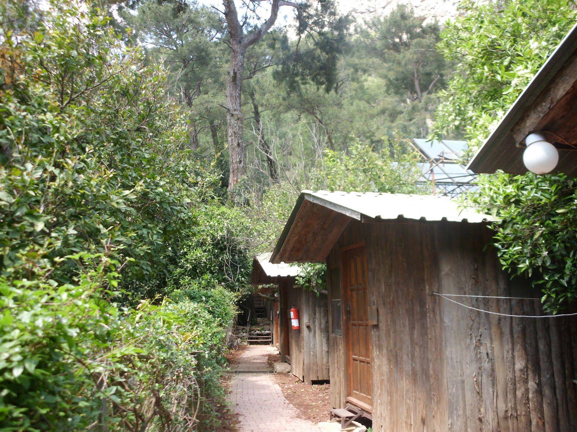 Olympos Orange Pension