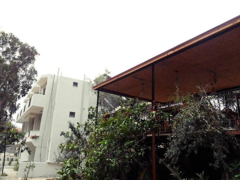 Eucalyptus Pension