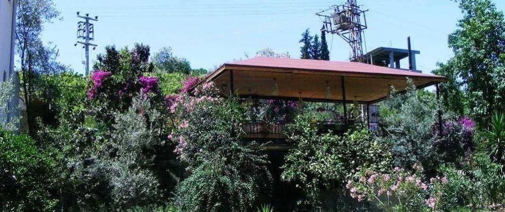 Eucalyptus Pension
