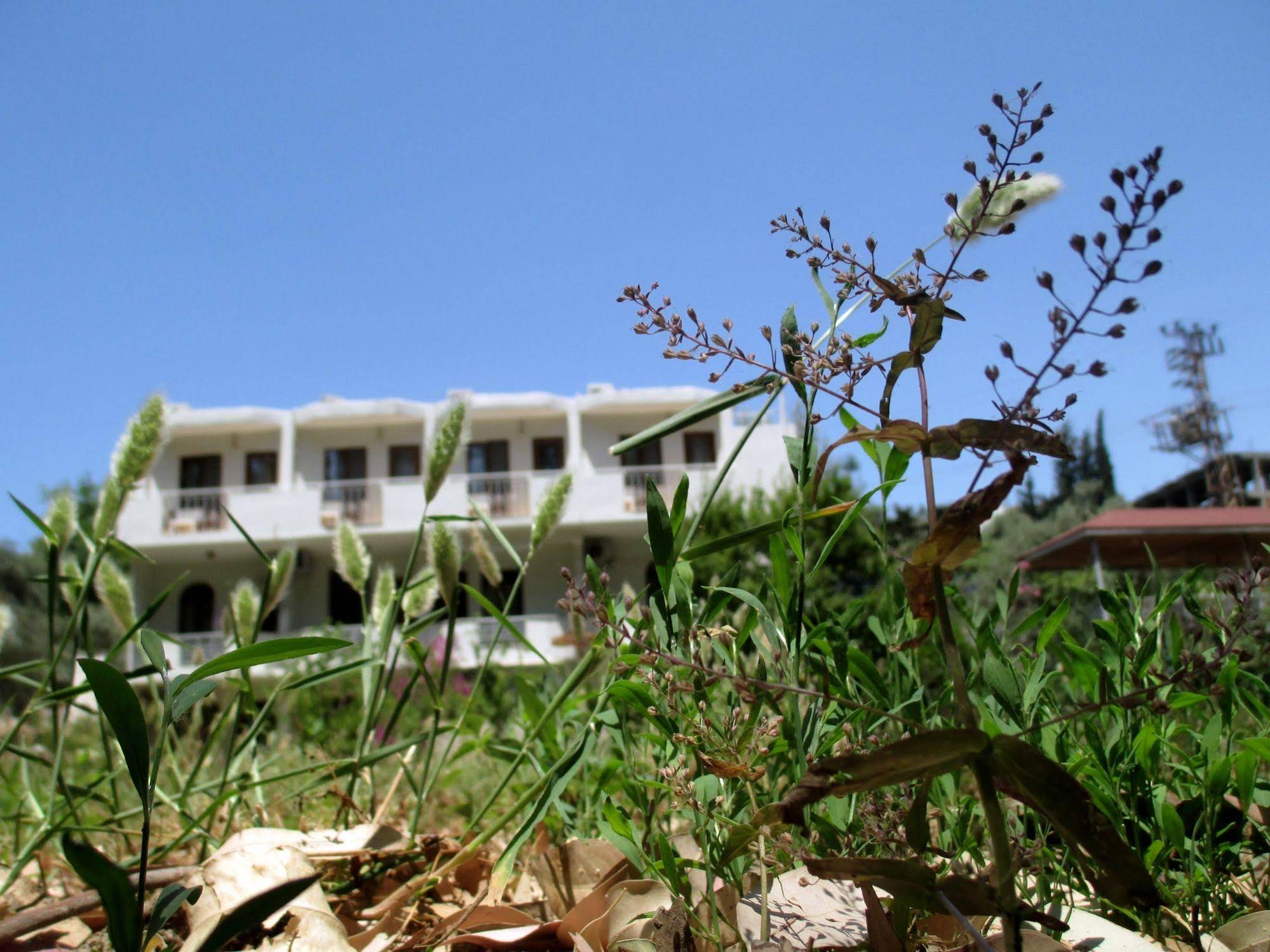 Eucalyptus Pension