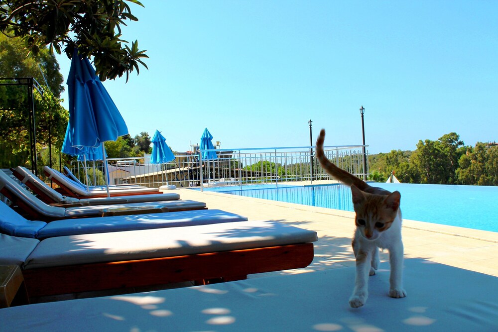 Patara Beach Hotel
