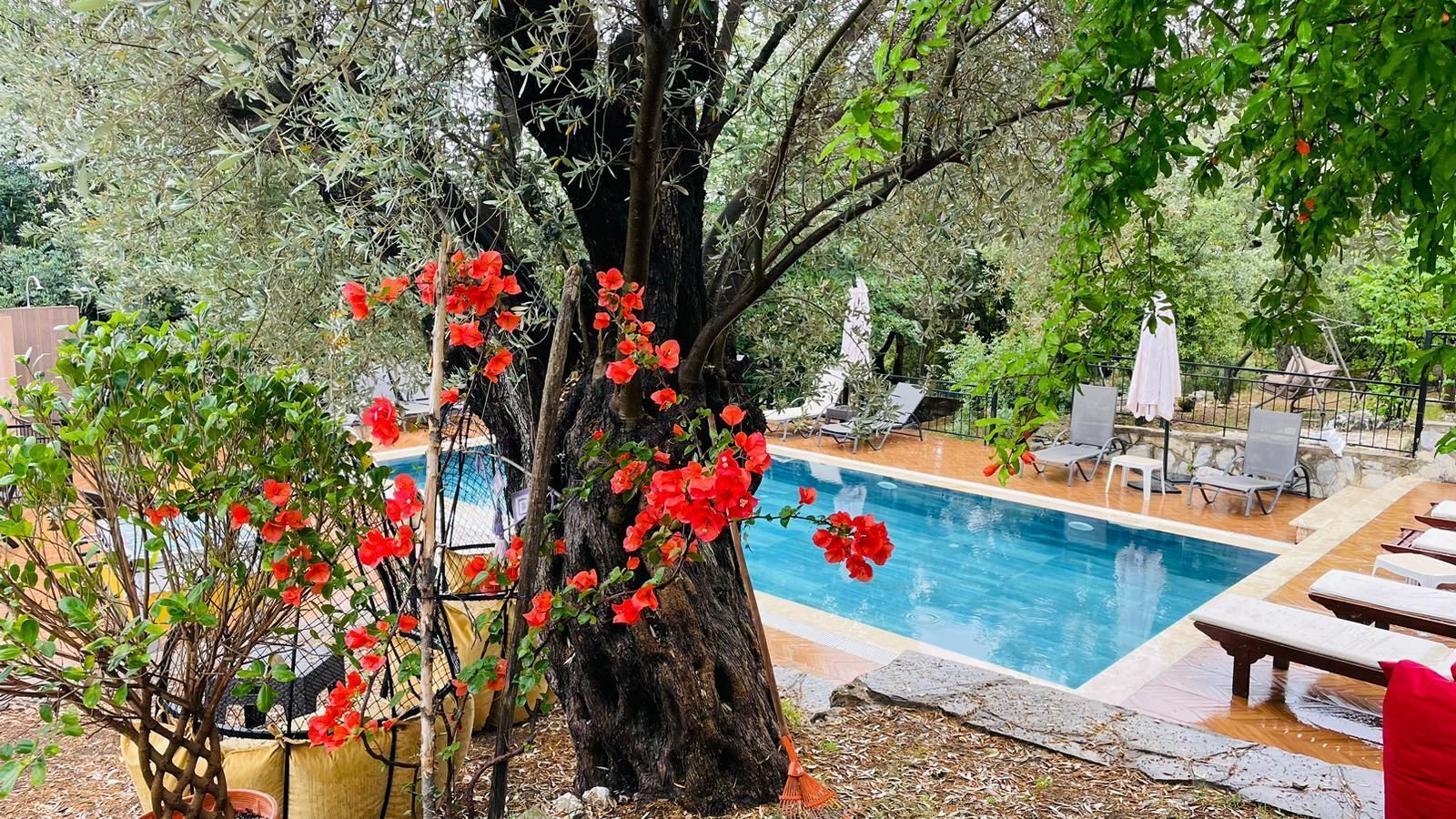 Antalya Bodrum Kayasi Dag Oteli