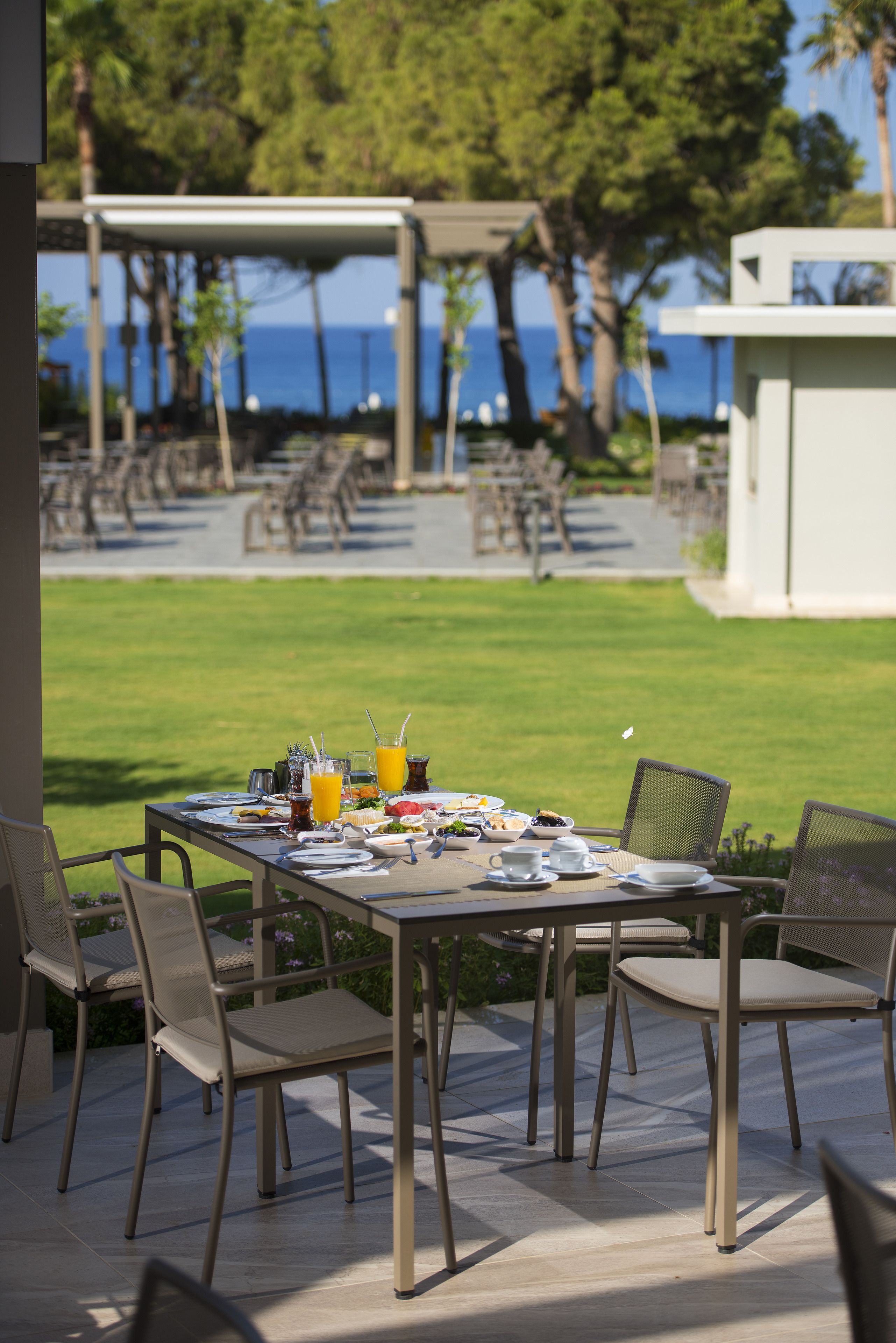 Acanthus Cennet Barut Collection