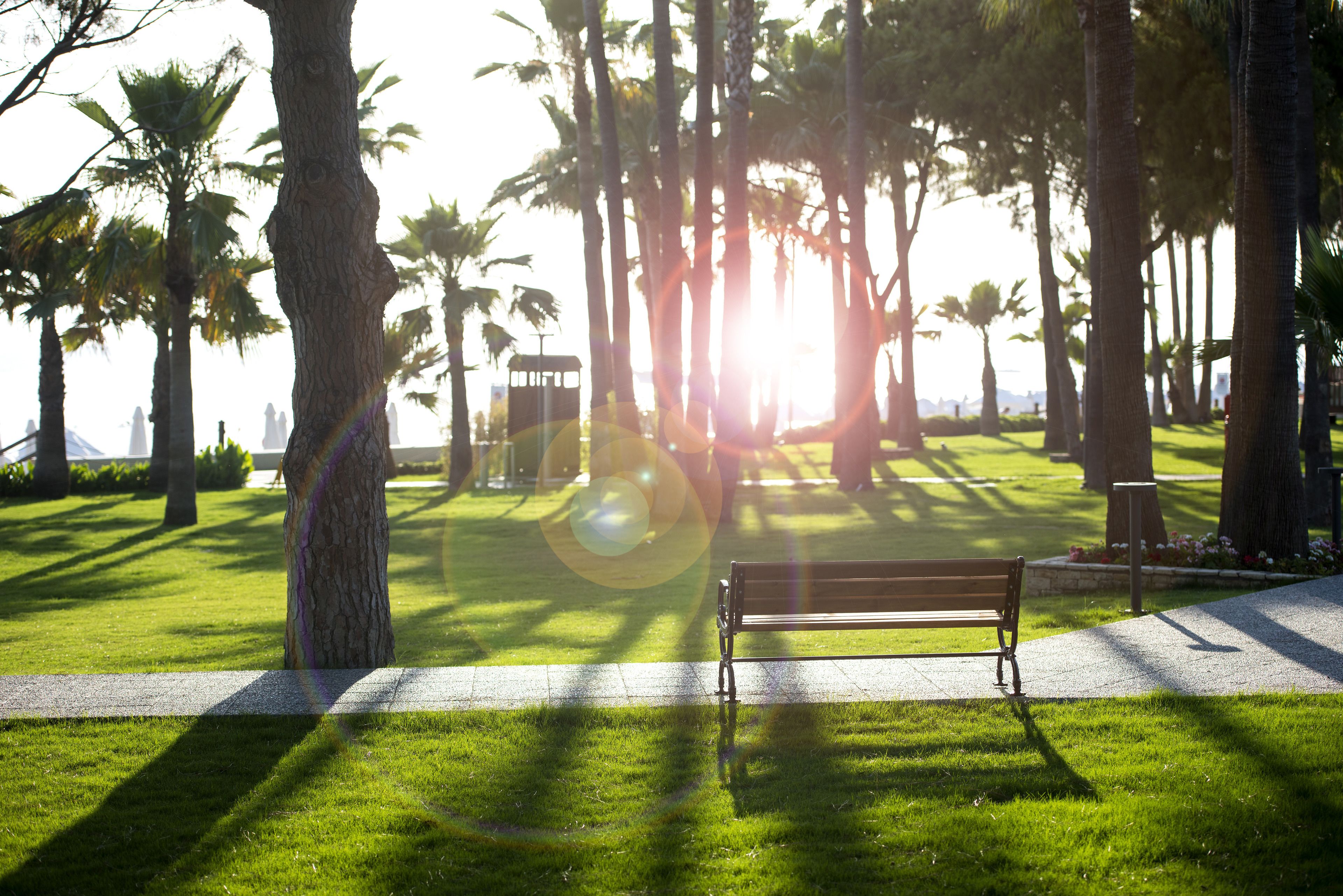 Acanthus Cennet Barut Collection