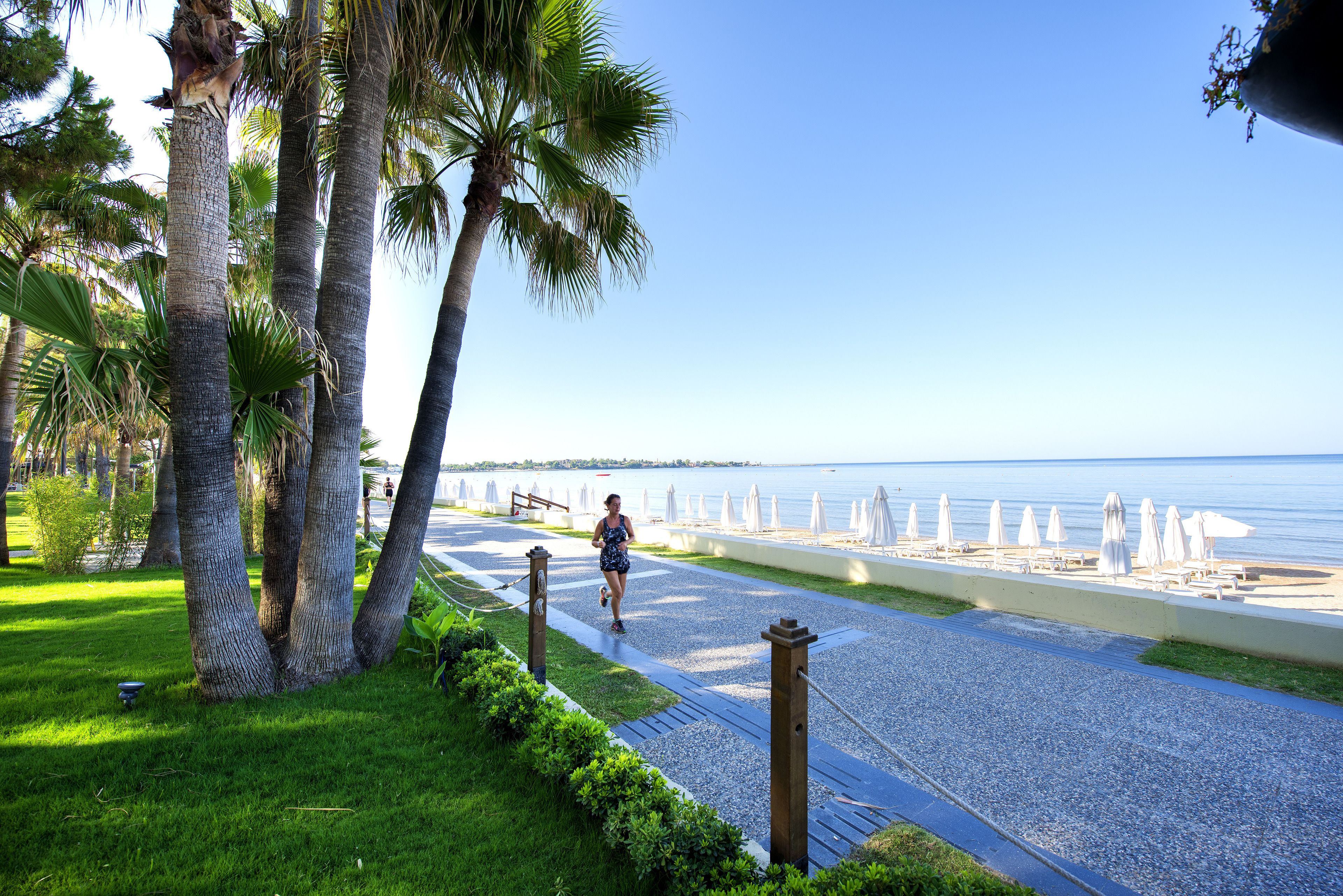 Acanthus Cennet Barut Collection