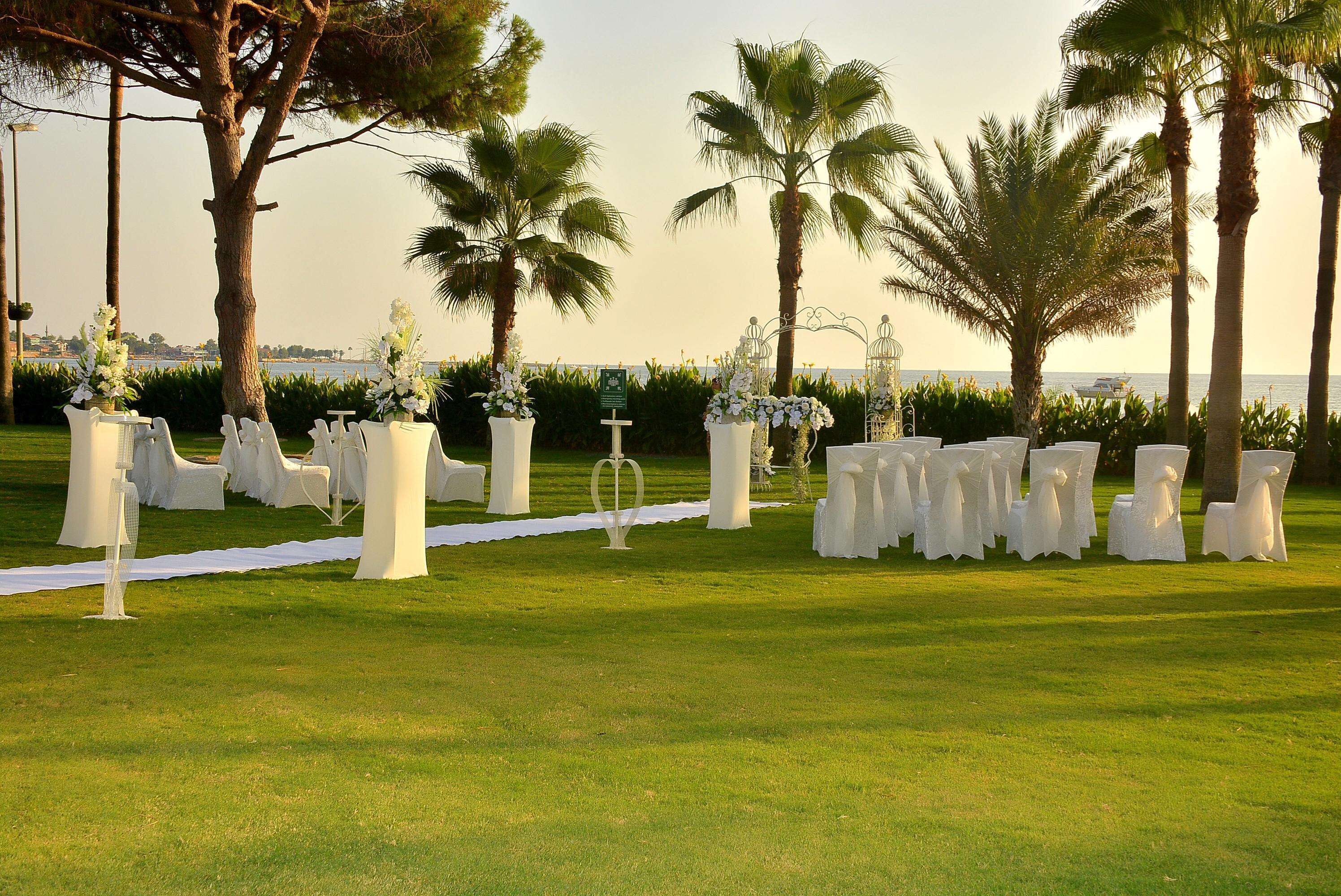 Acanthus Cennet Barut Collection