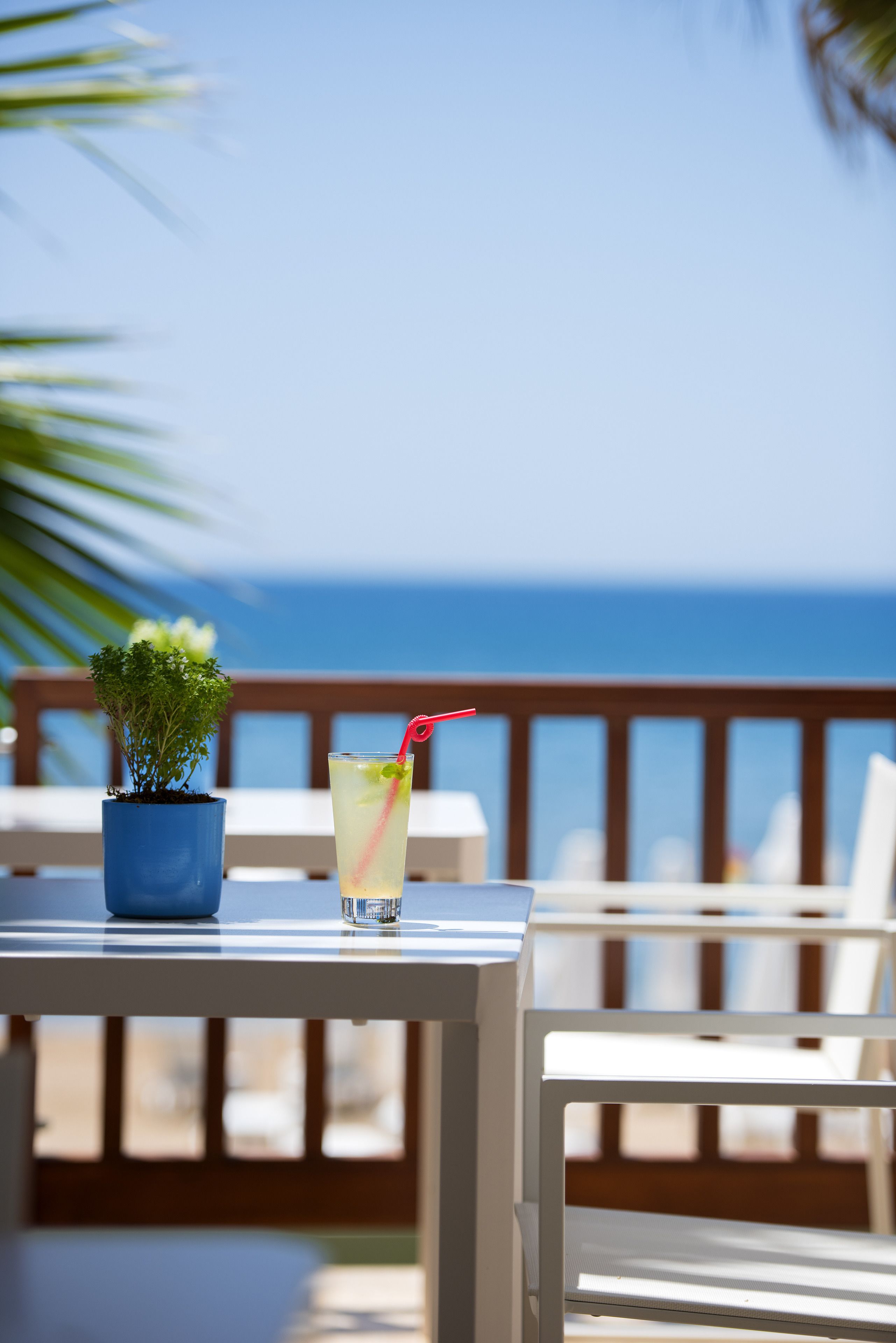 Acanthus Cennet Barut Collection