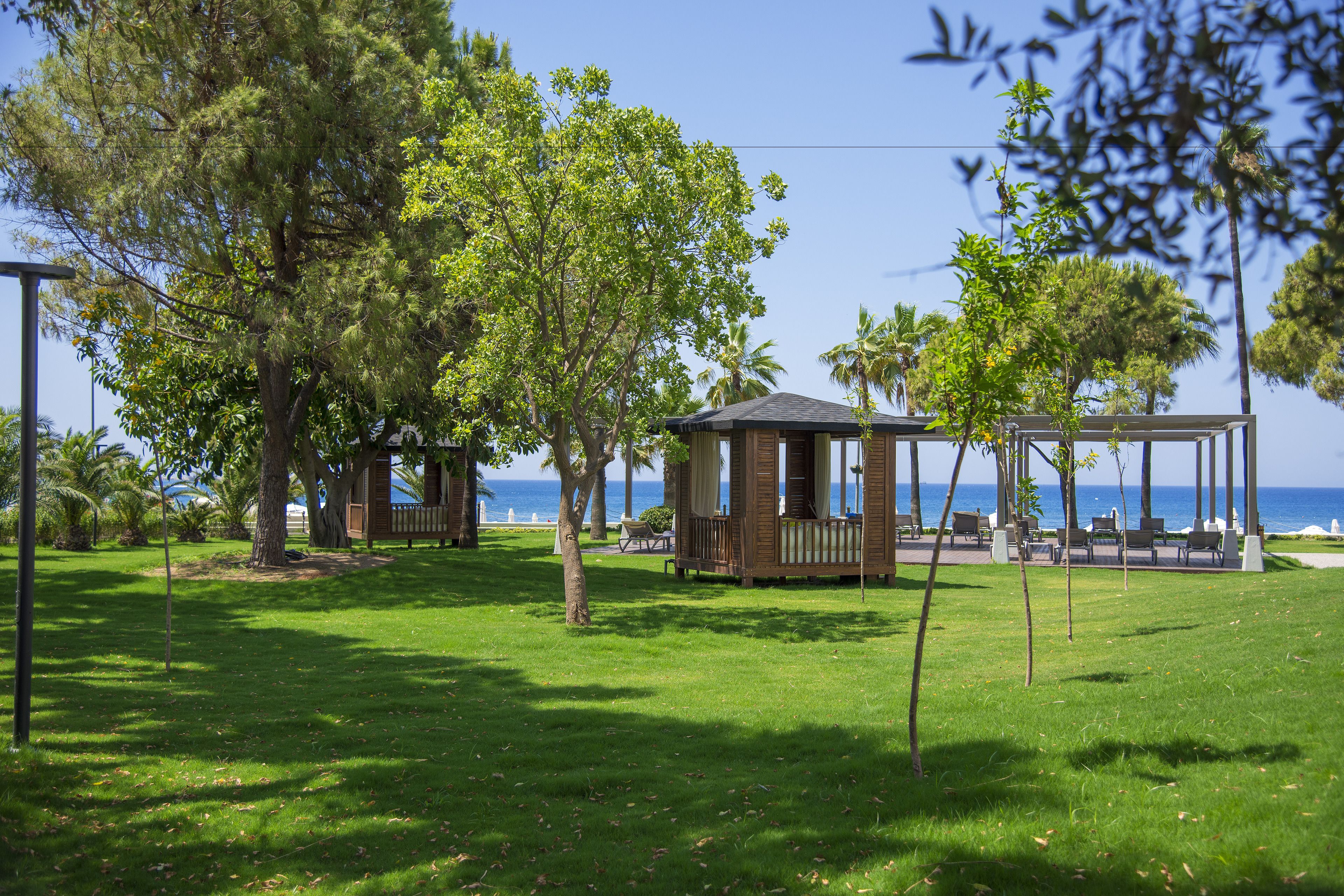 Acanthus Cennet Barut Collection