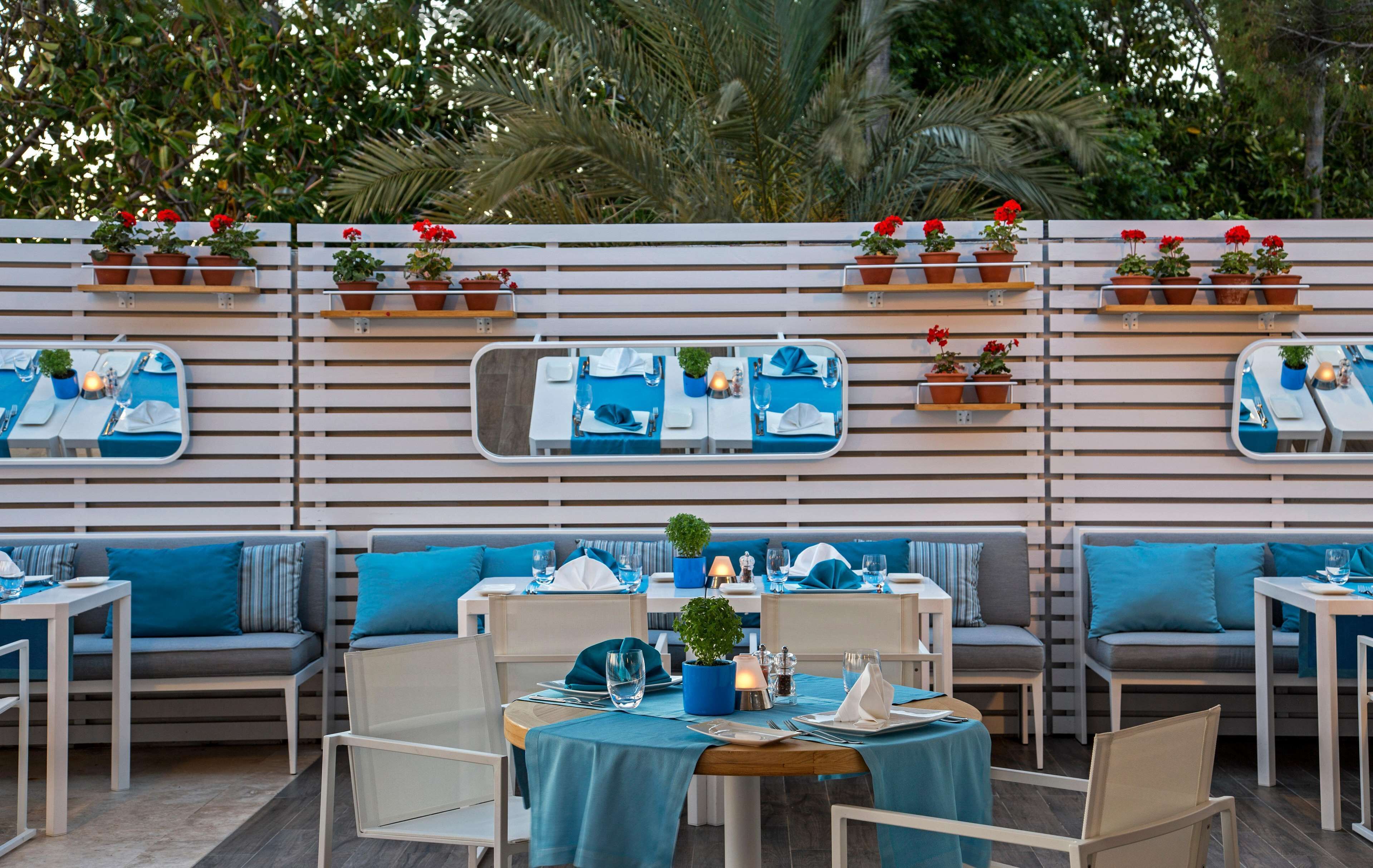 Acanthus Cennet Barut Collection