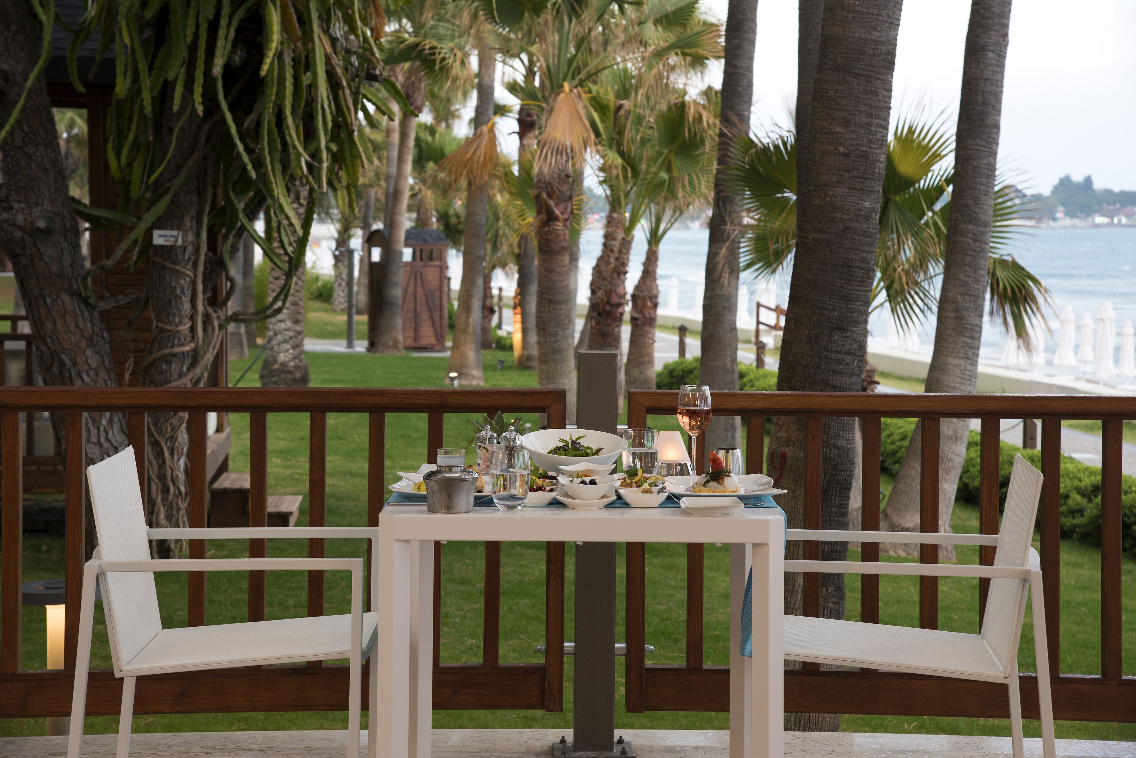 Acanthus Cennet Barut Collection