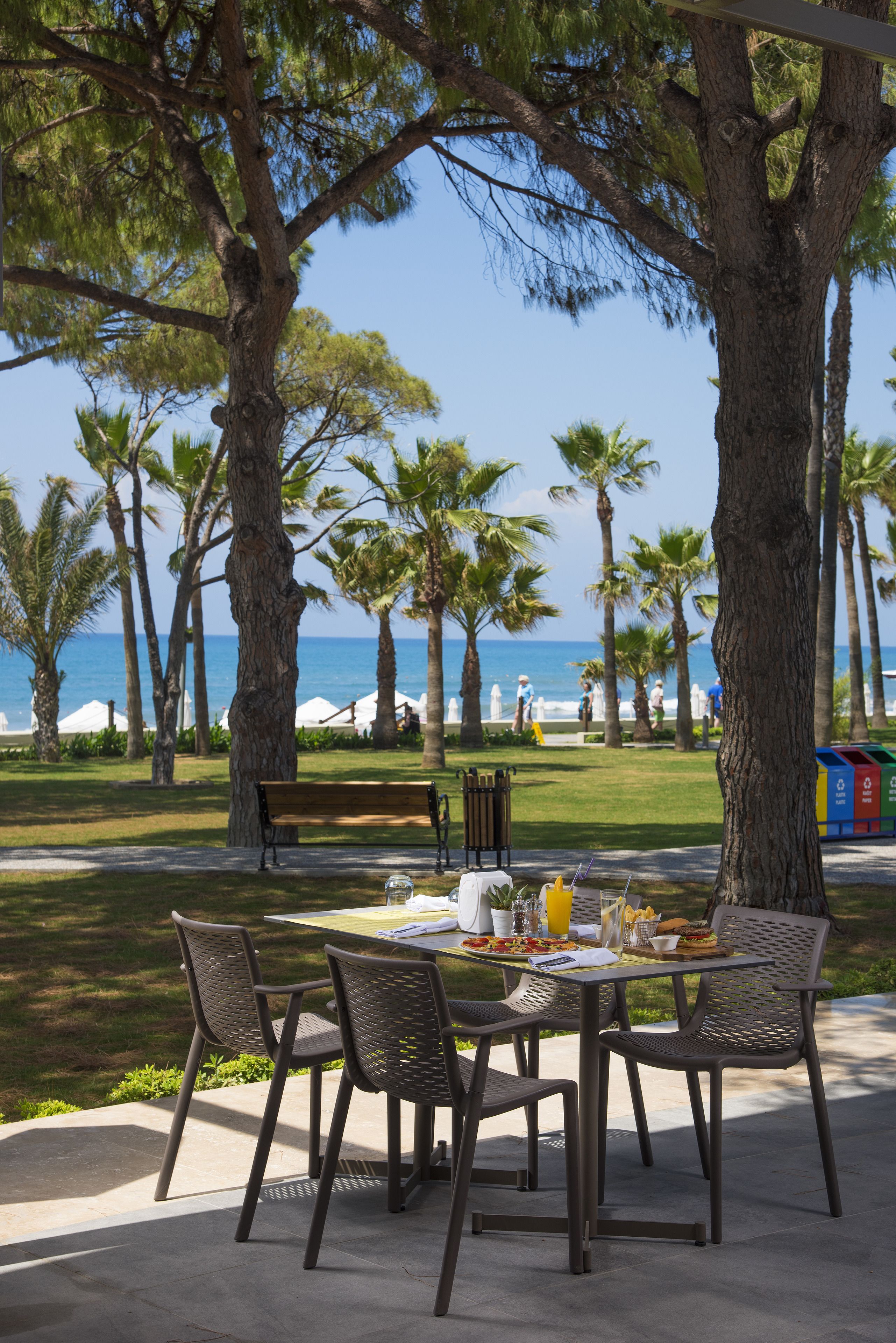 Acanthus Cennet Barut Collection