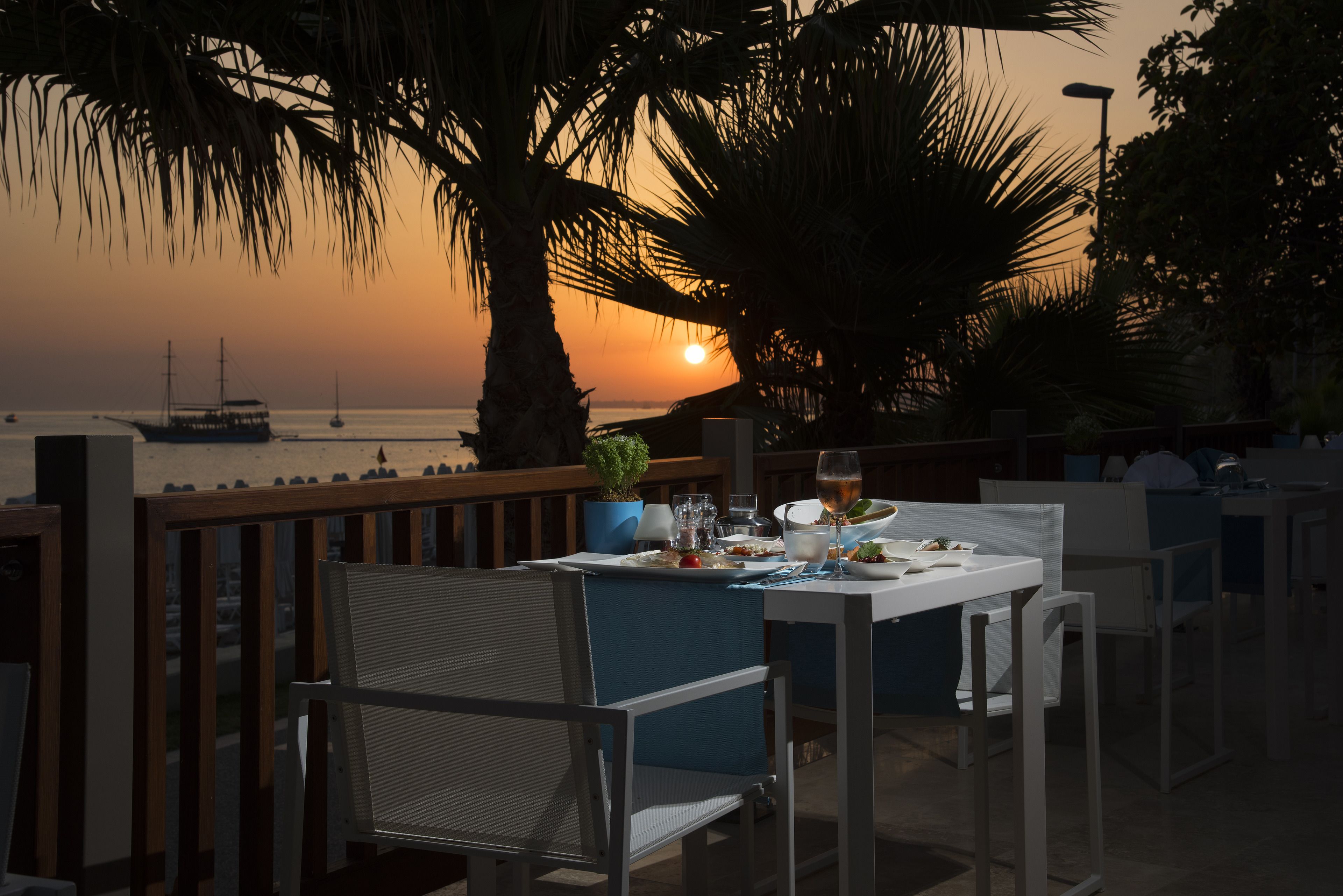 Acanthus Cennet Barut Collection