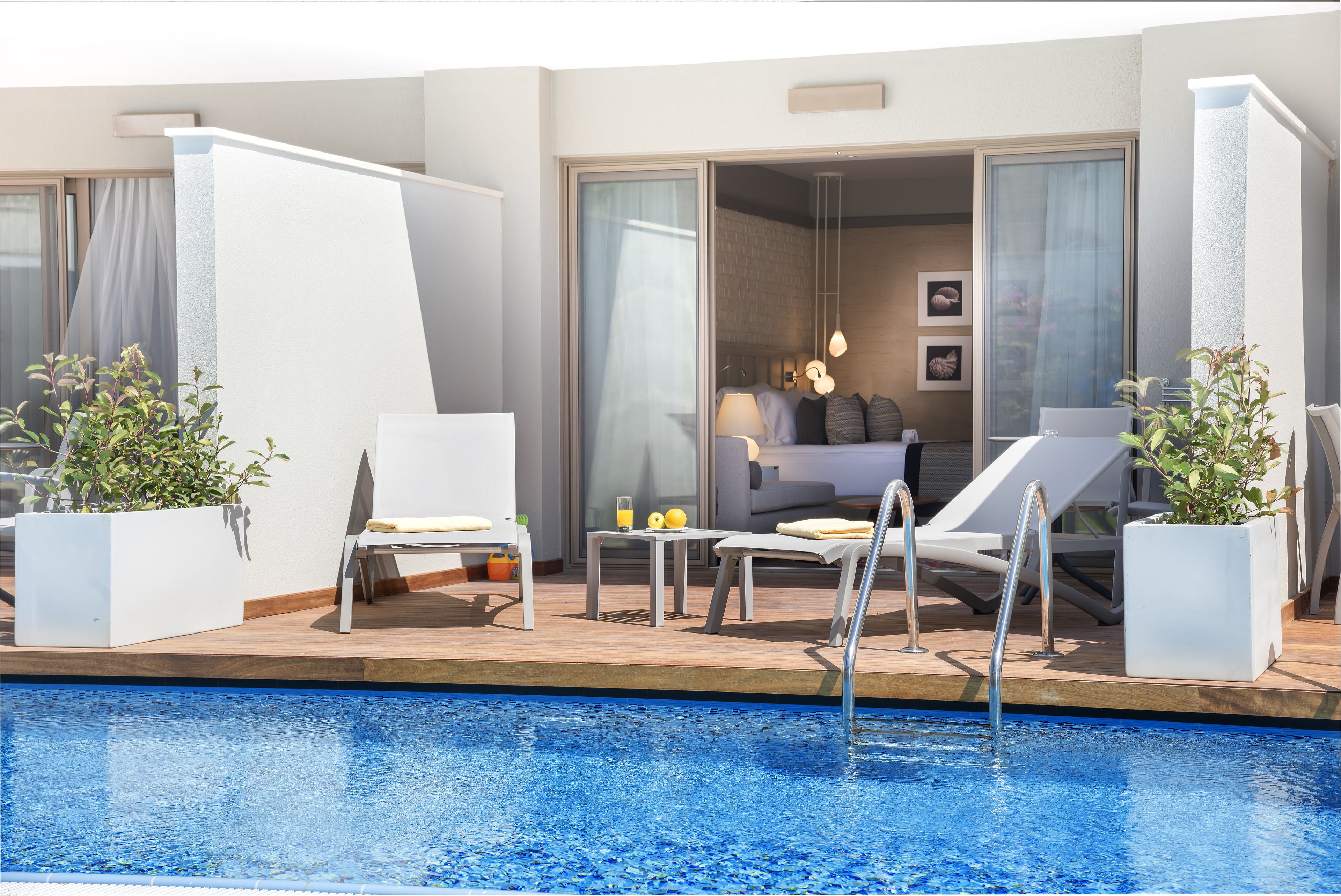 Acanthus Cennet Barut Collection