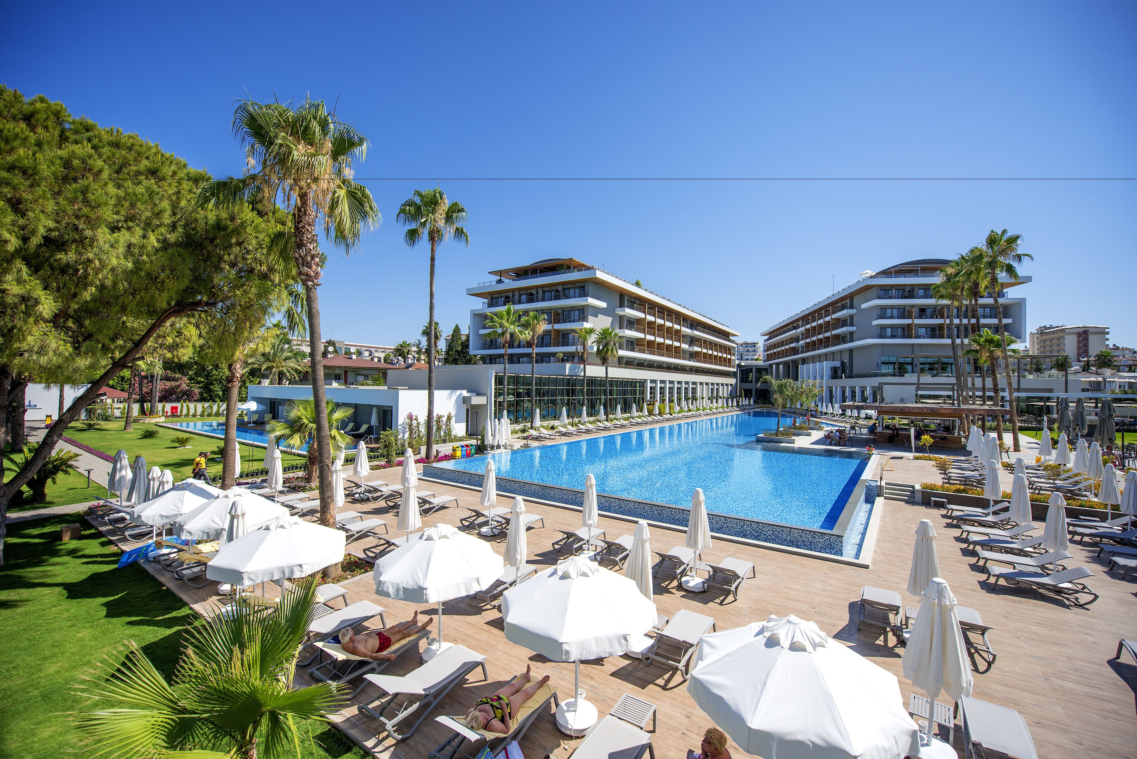 Acanthus Cennet Barut Collection