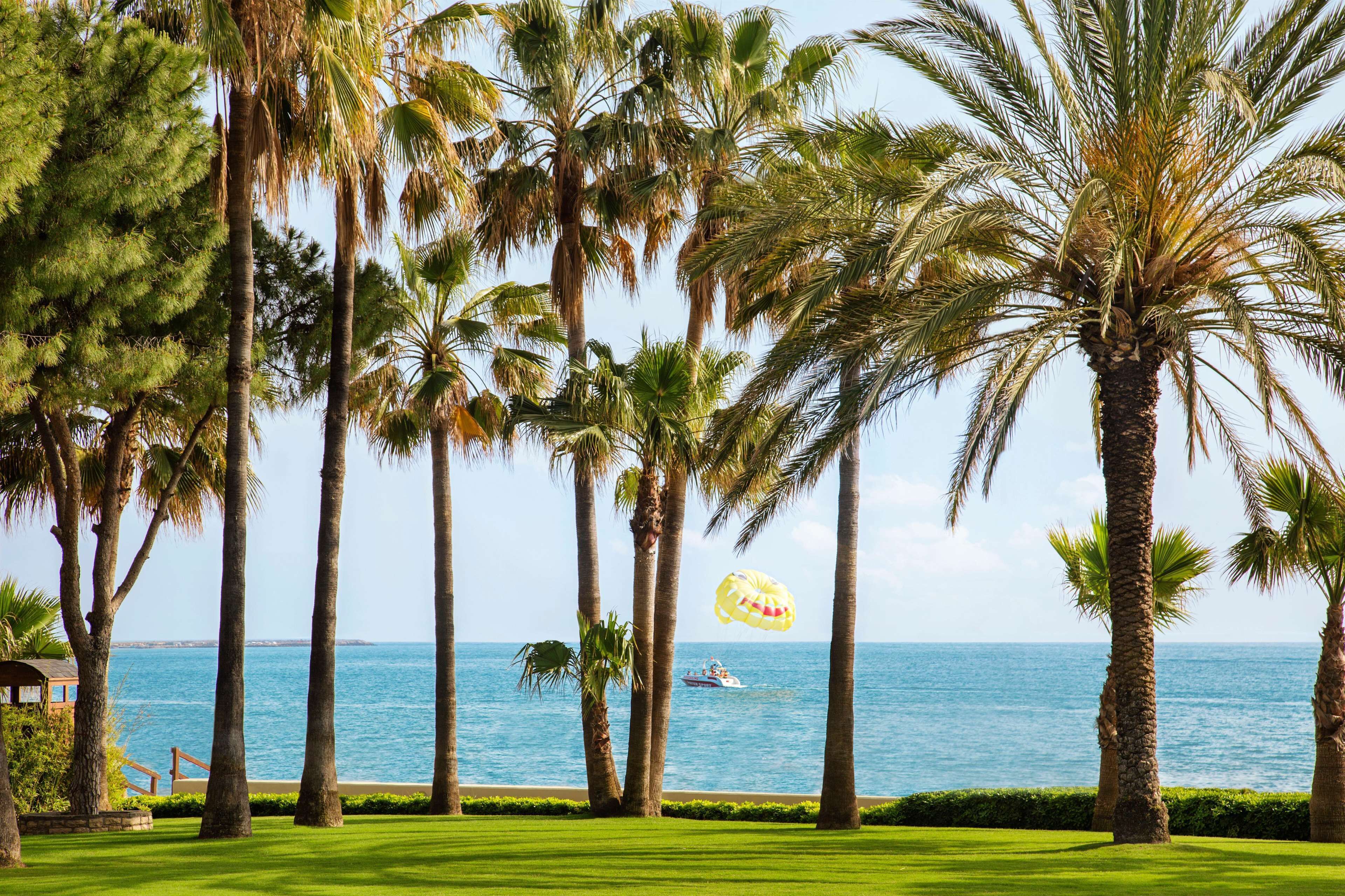 Acanthus Cennet Barut Collection