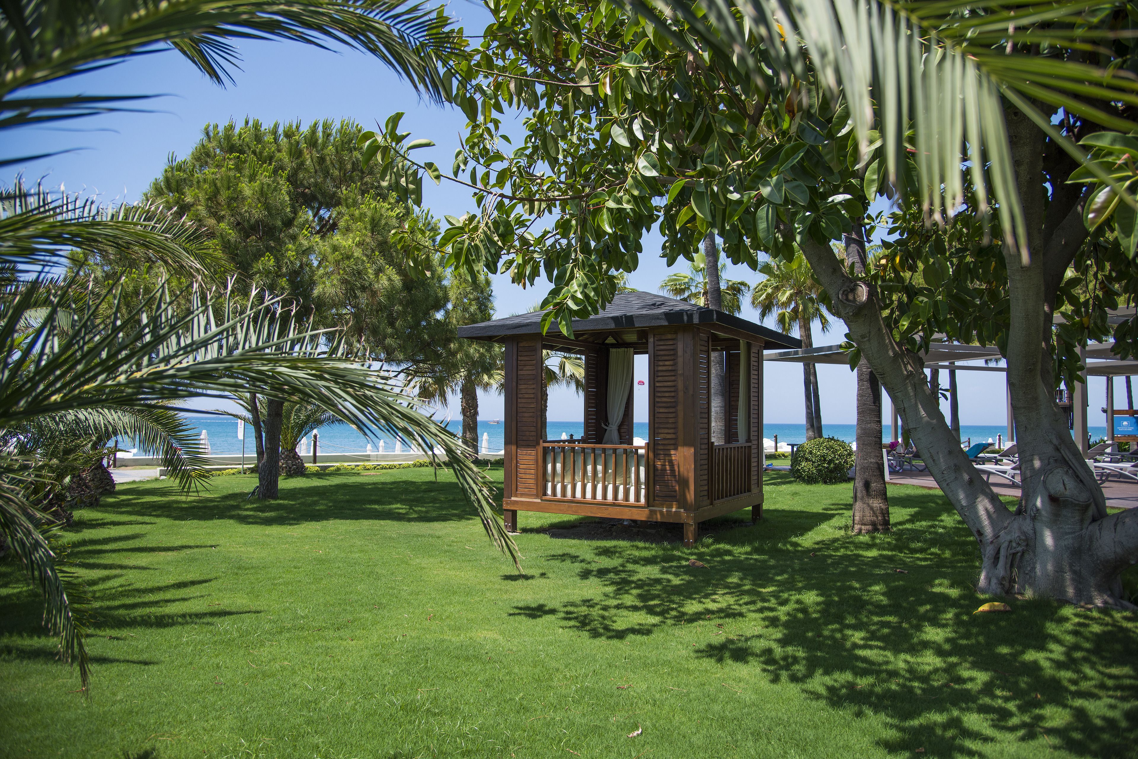 Acanthus Cennet Barut Collection