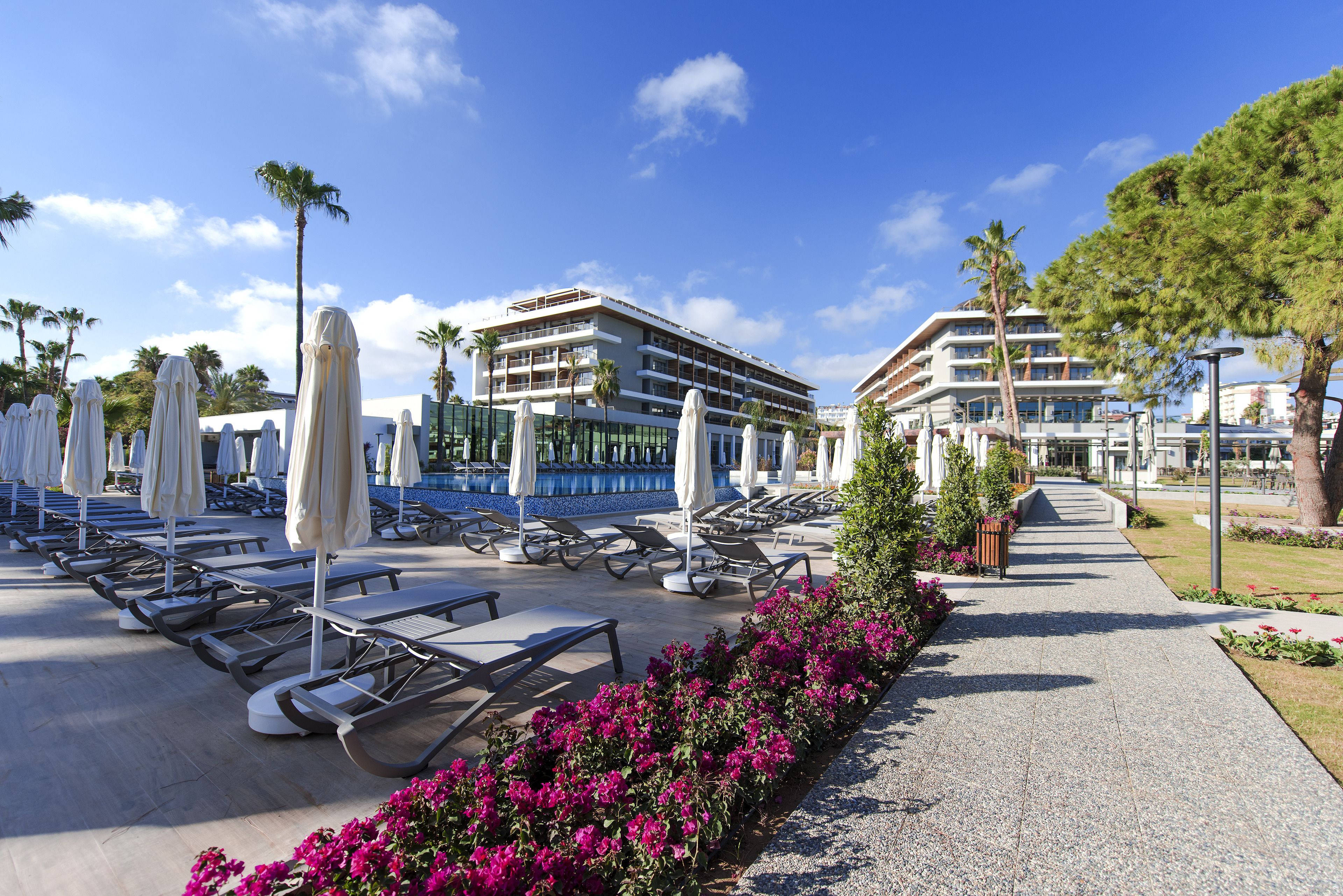 Acanthus Cennet Barut Collection