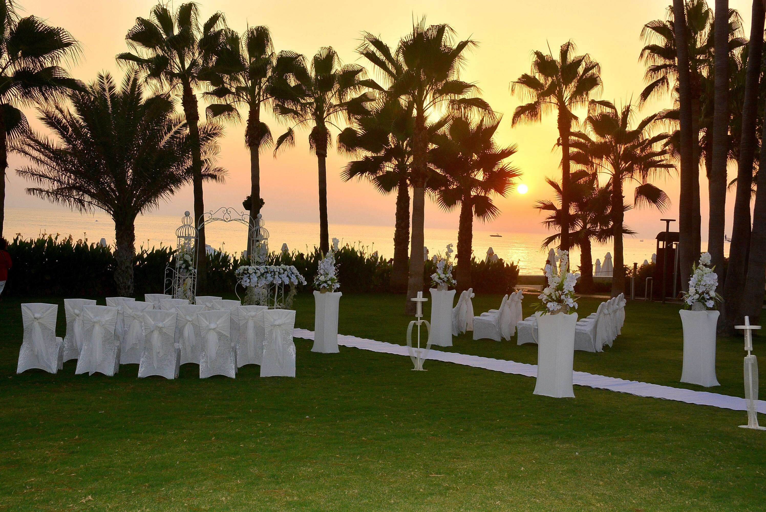 Acanthus Cennet Barut Collection