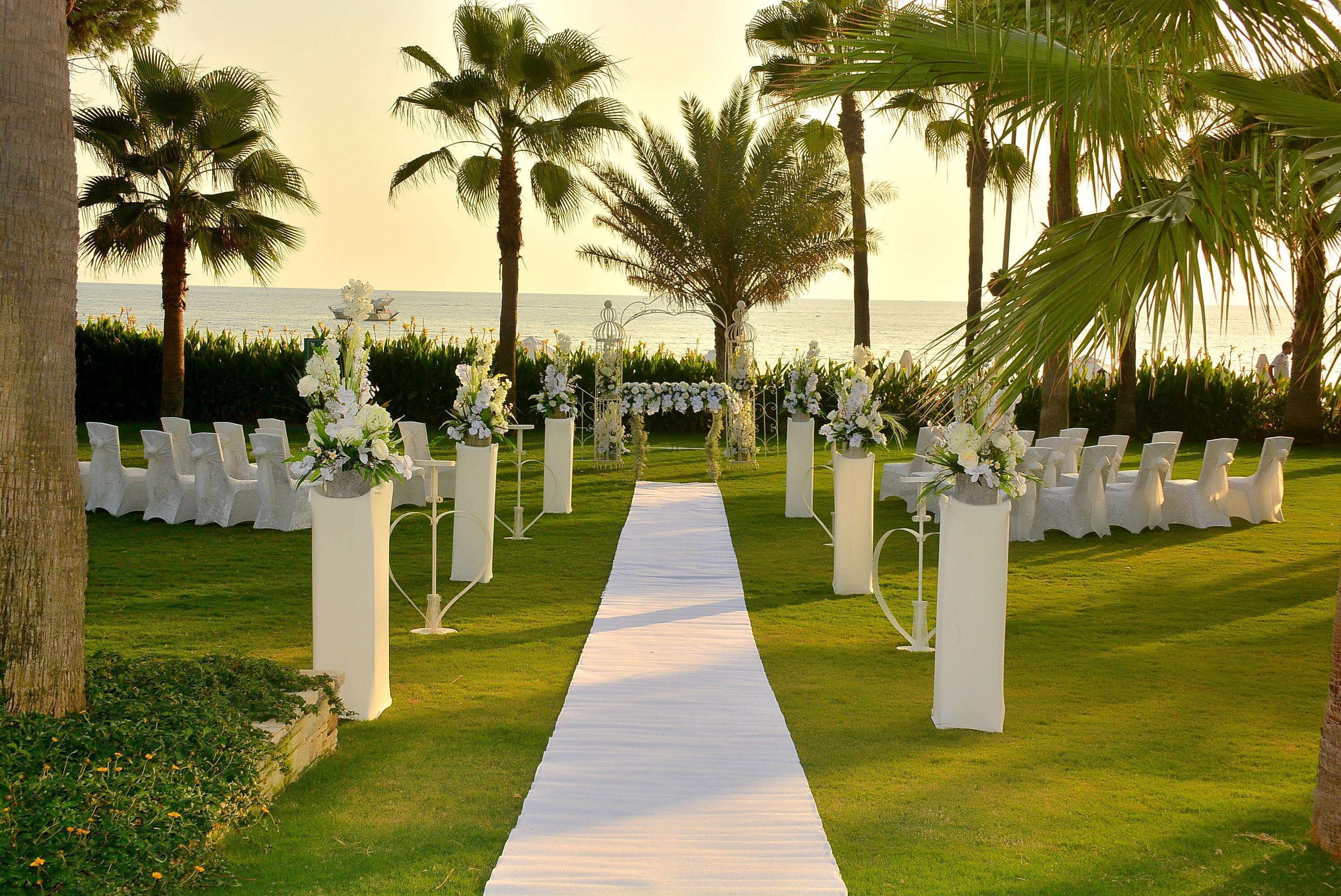 Acanthus Cennet Barut Collection