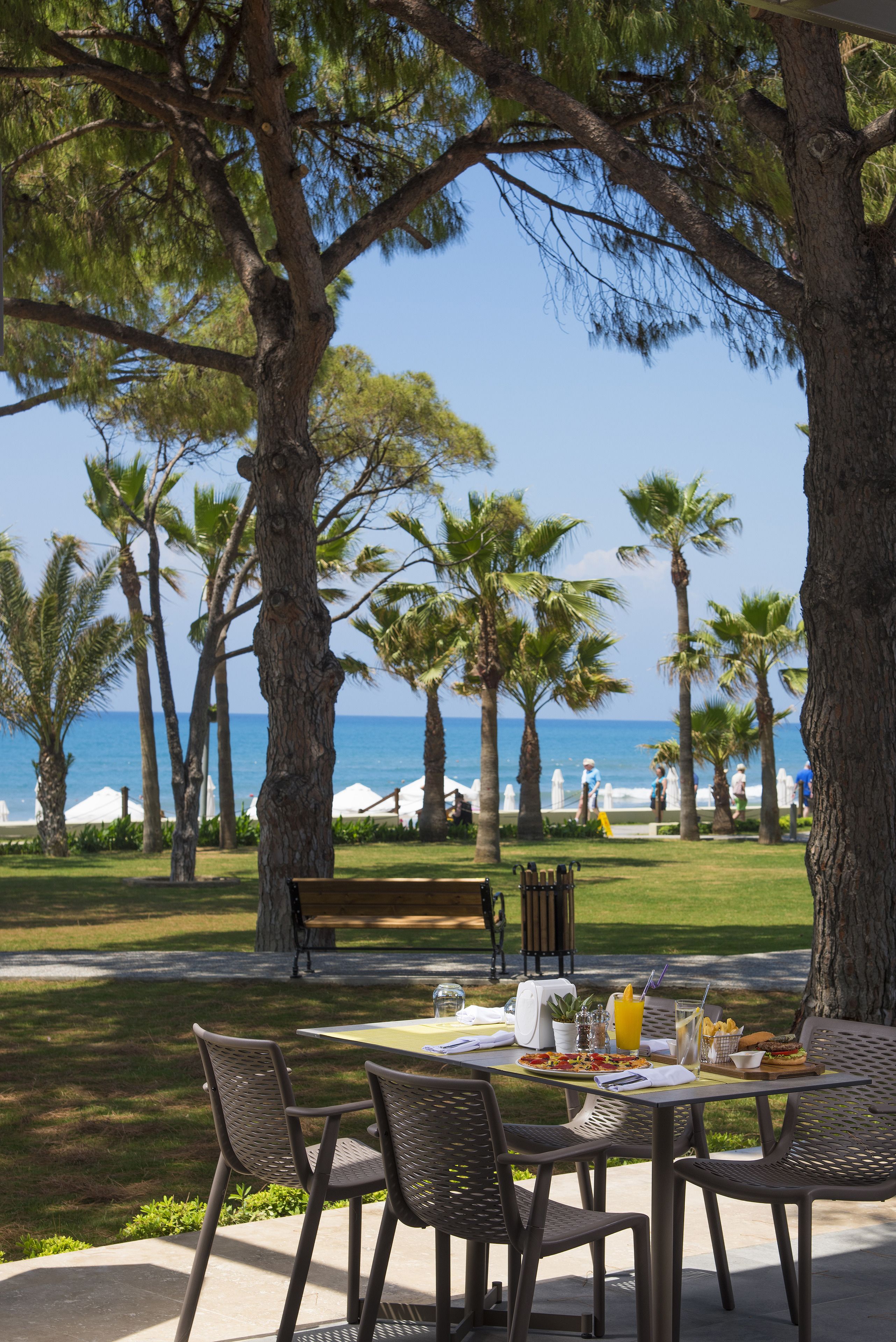 Acanthus Cennet Barut Collection