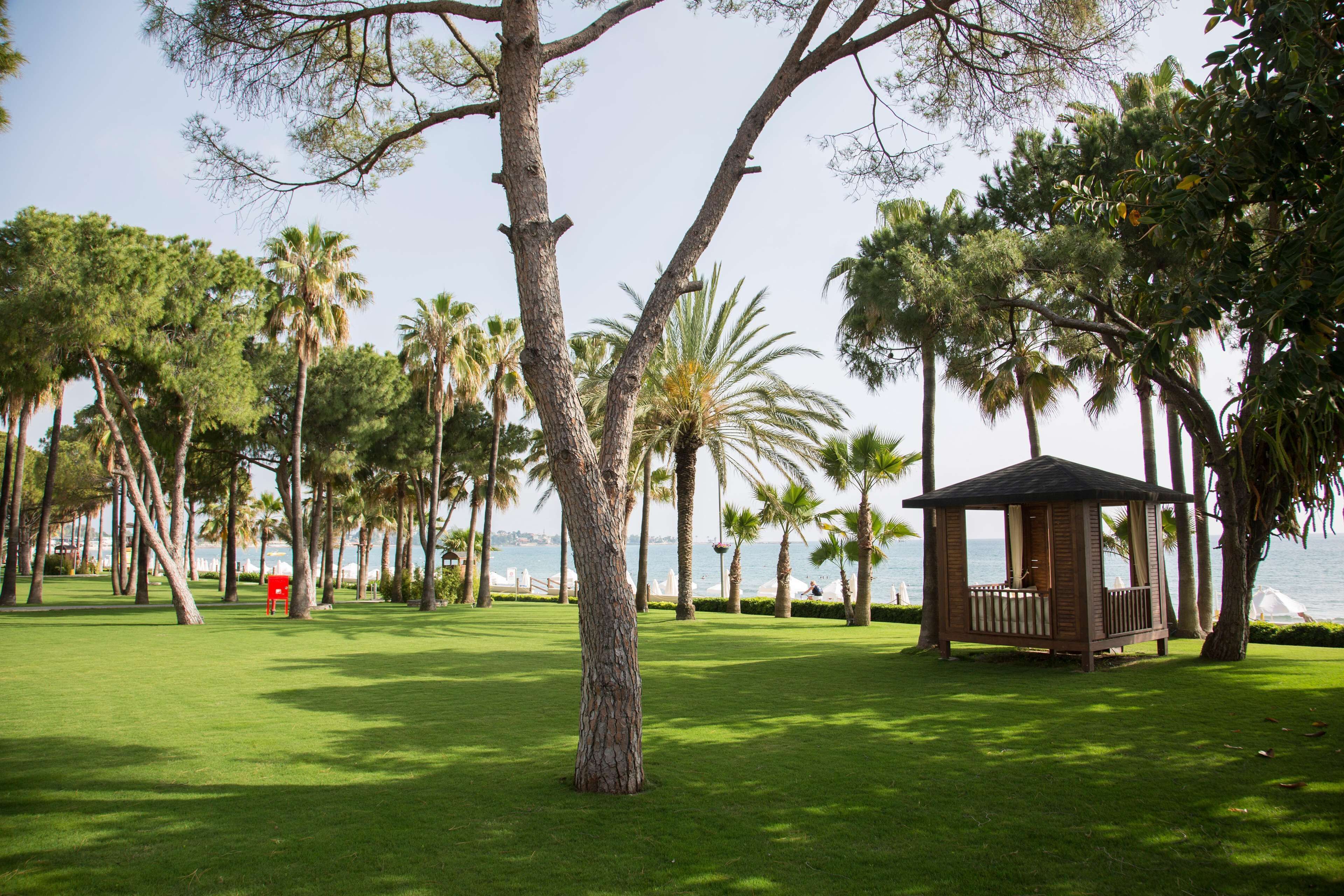 Acanthus Cennet Barut Collection