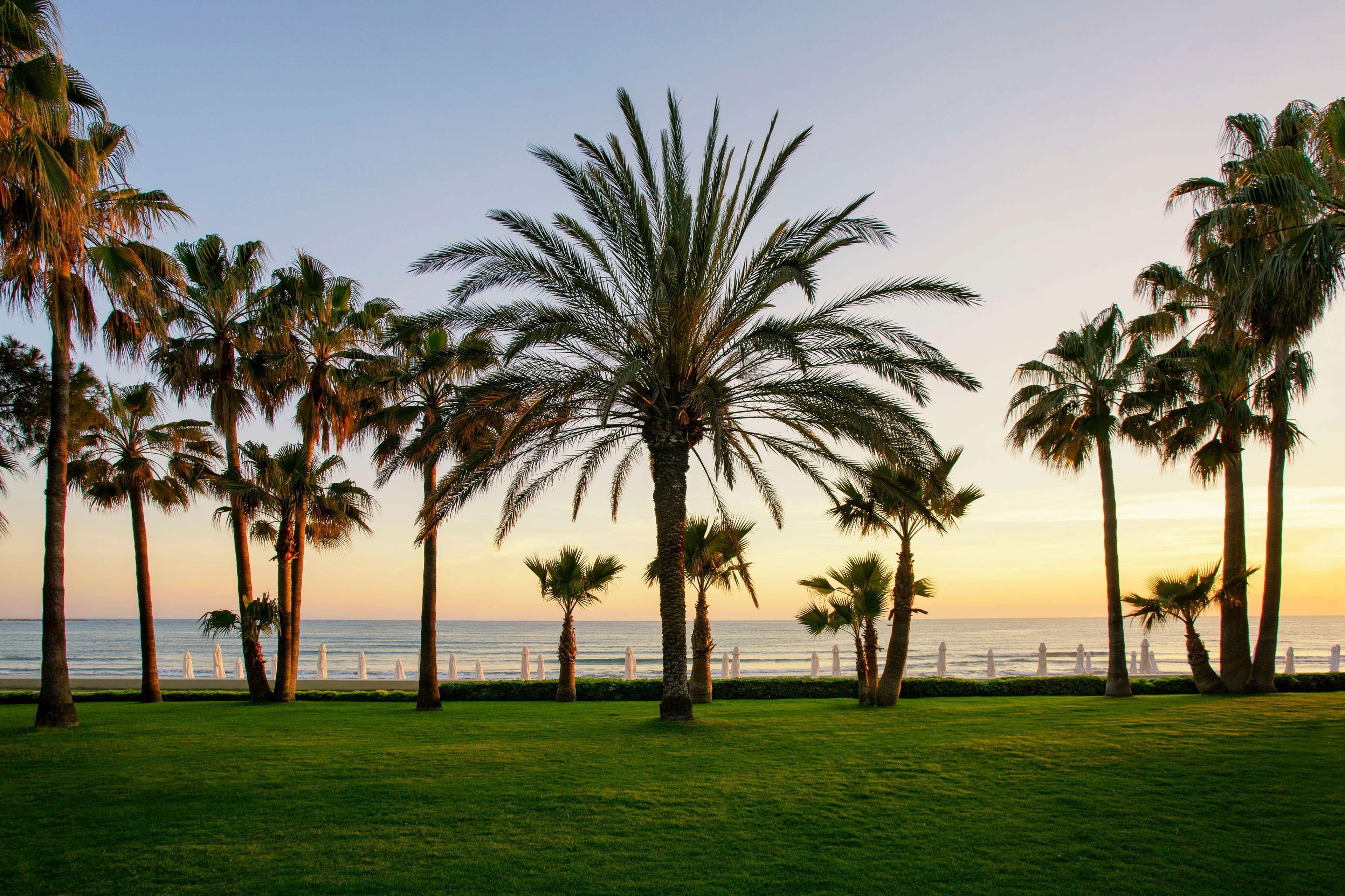 Acanthus Cennet Barut Collection