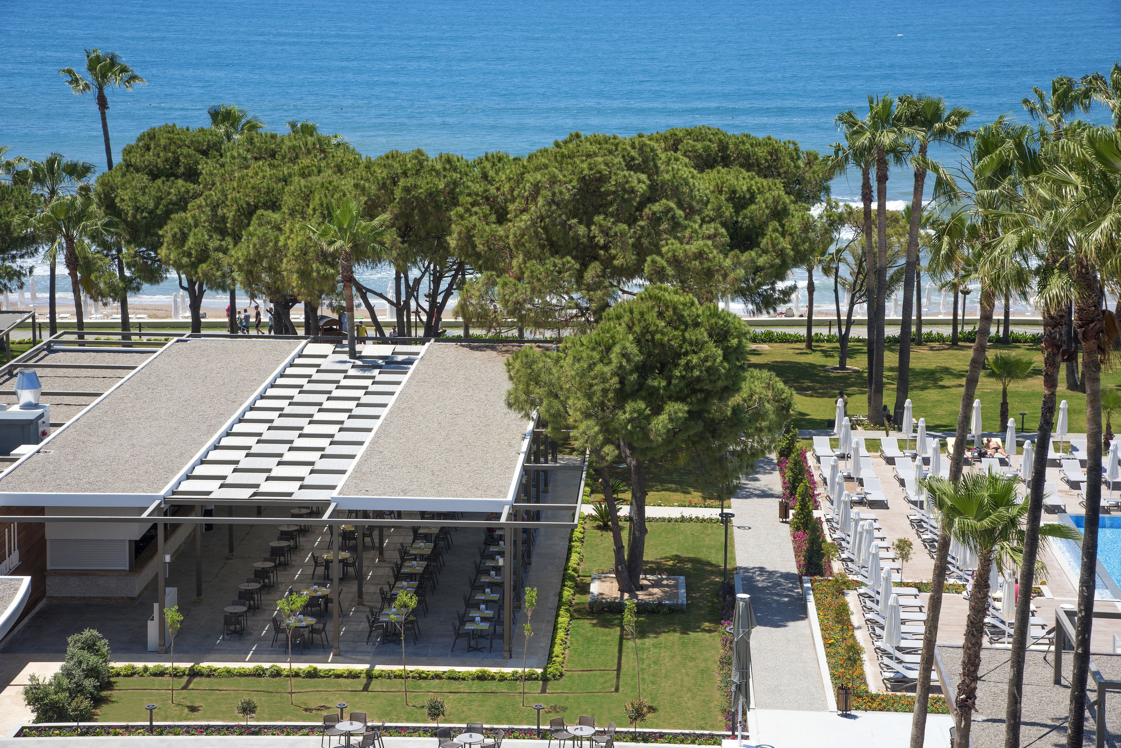 Acanthus Cennet Barut Collection