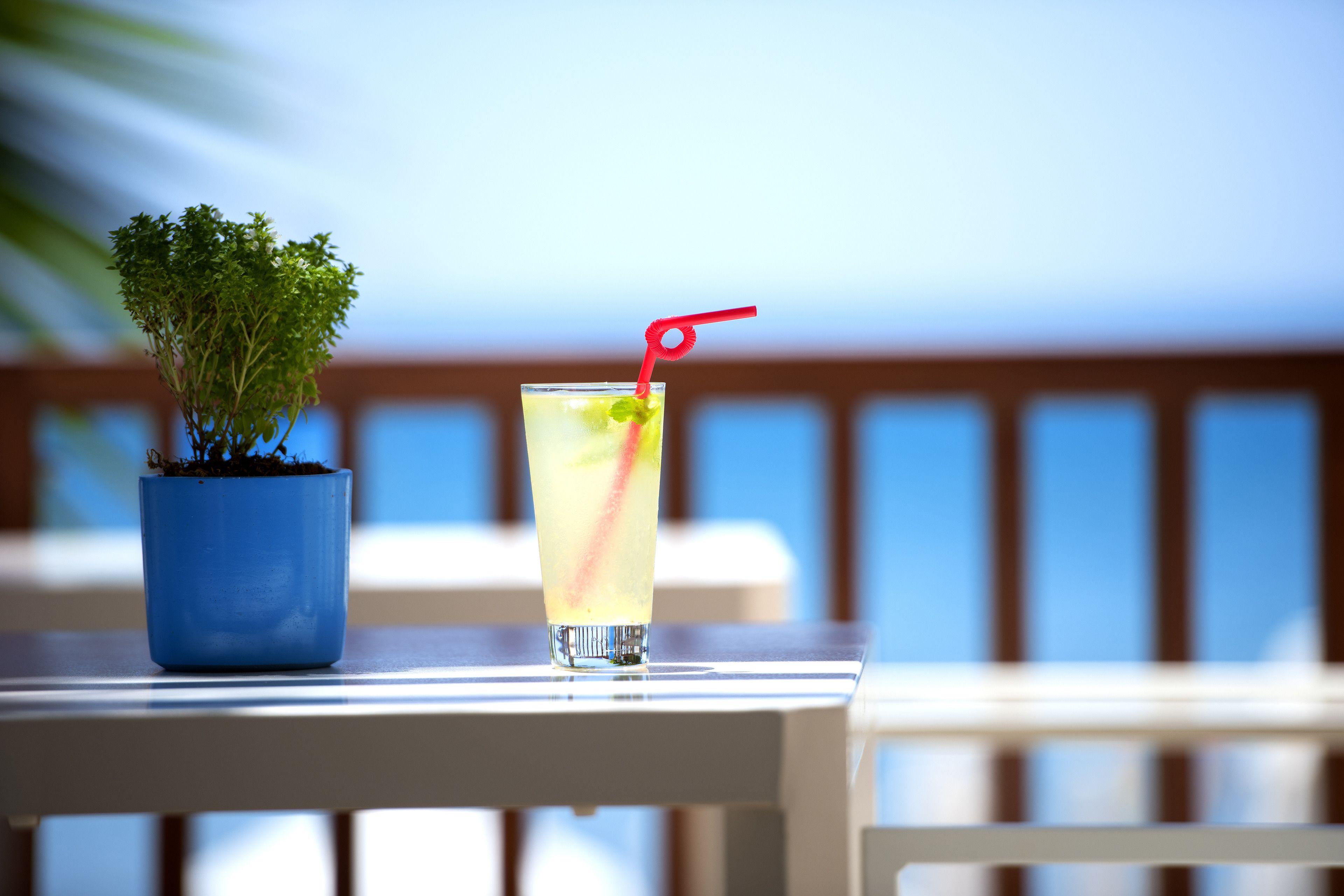 Acanthus Cennet Barut Collection
