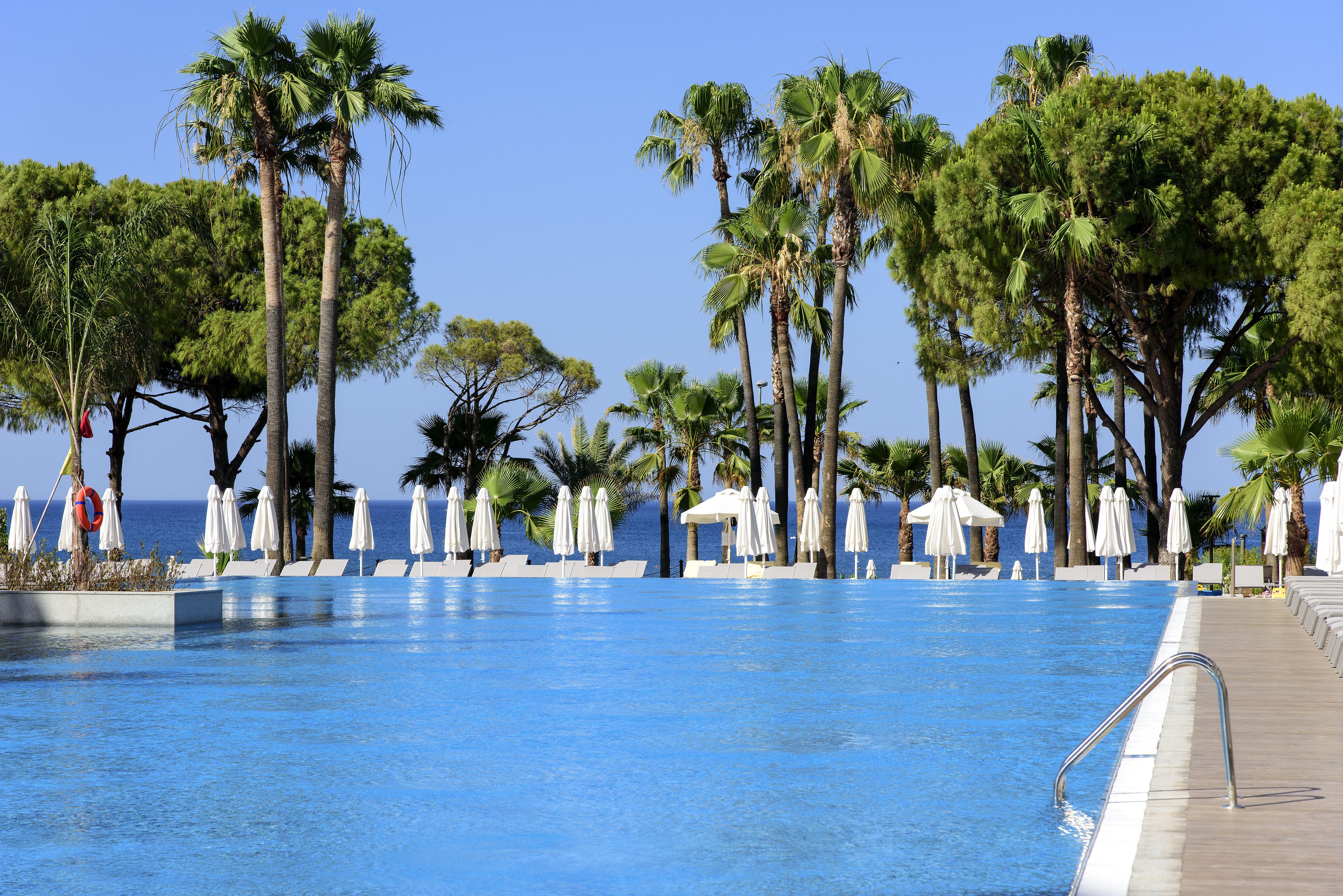 Acanthus Cennet Barut Collection