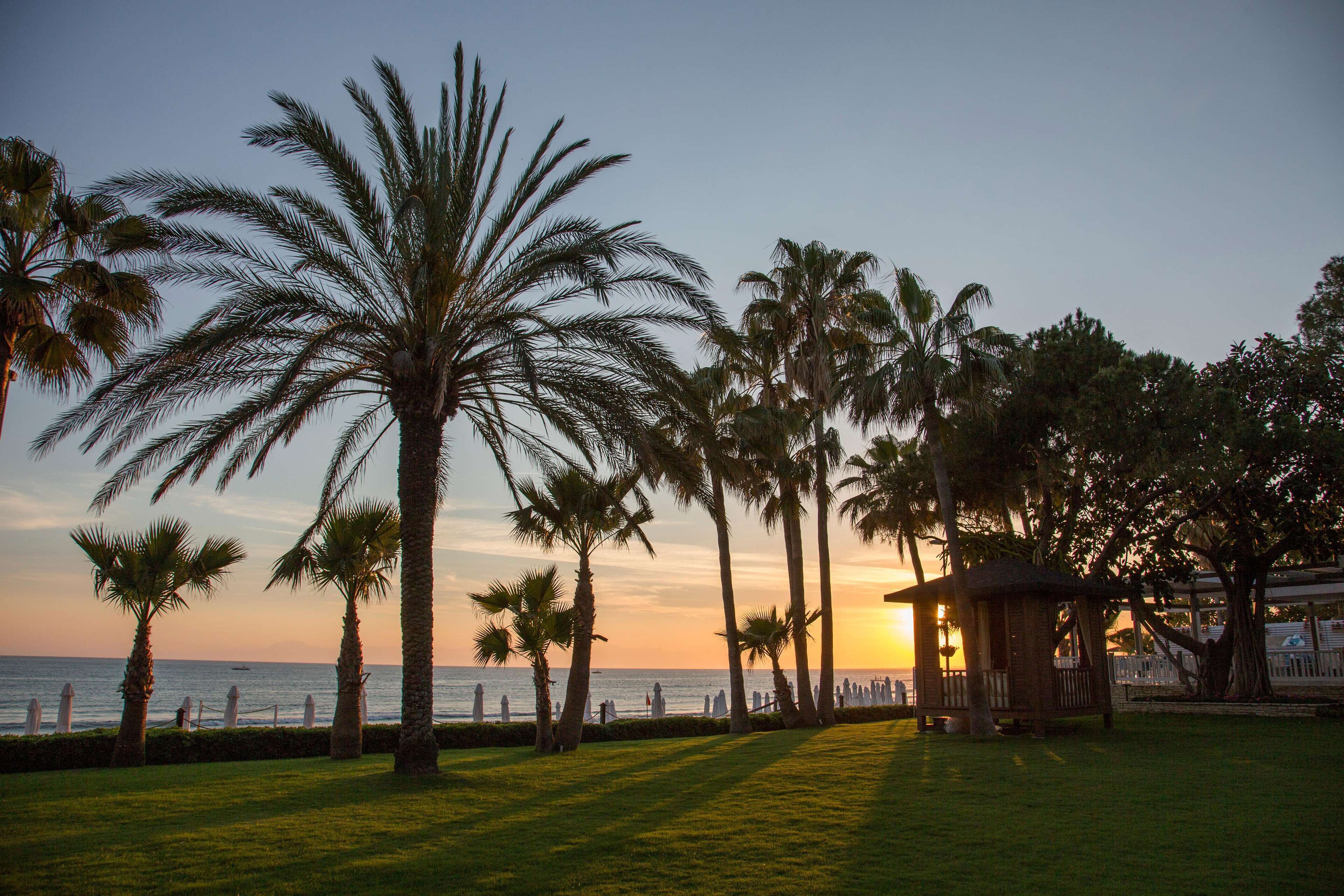 Acanthus Cennet Barut Collection