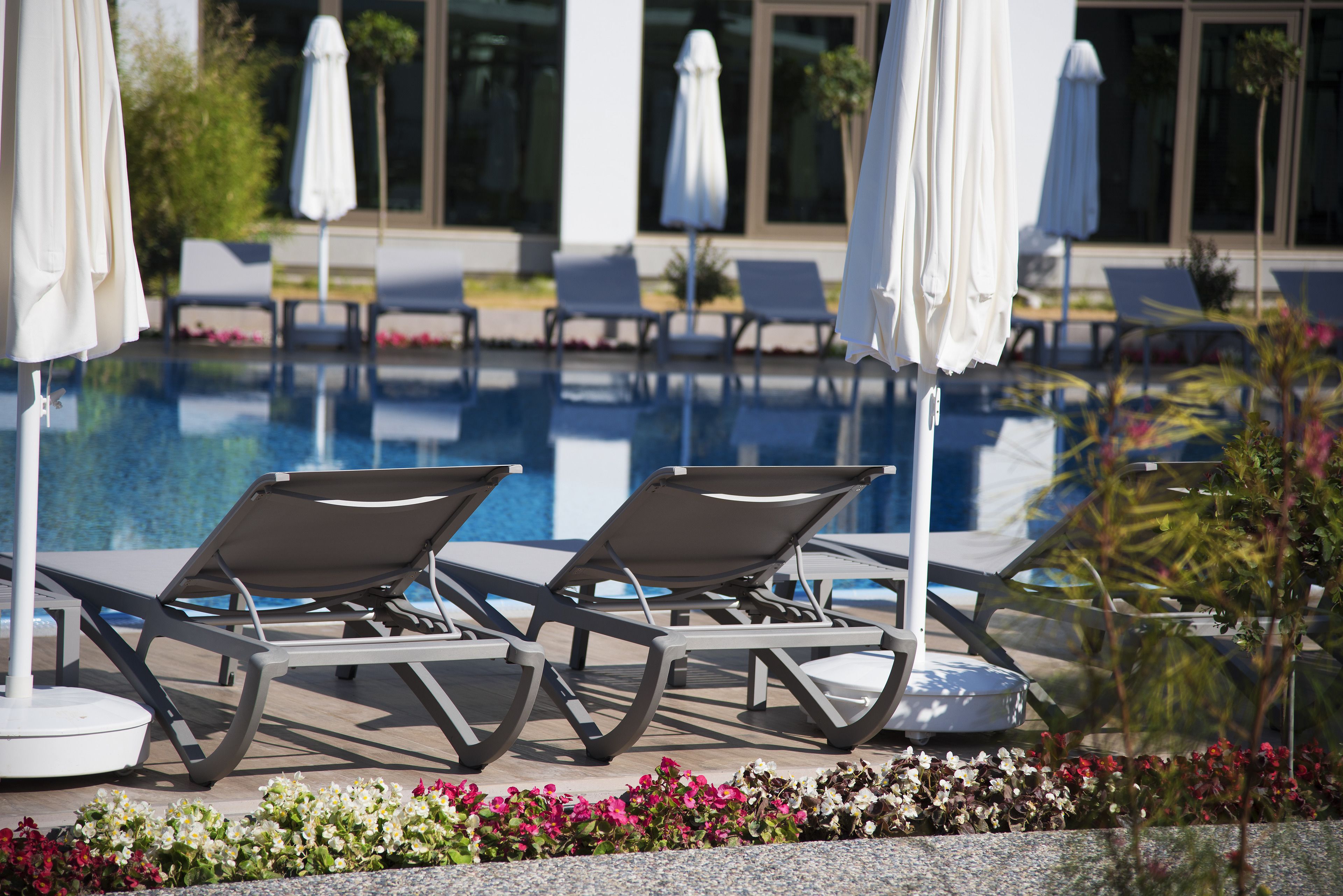 Acanthus Cennet Barut Collection