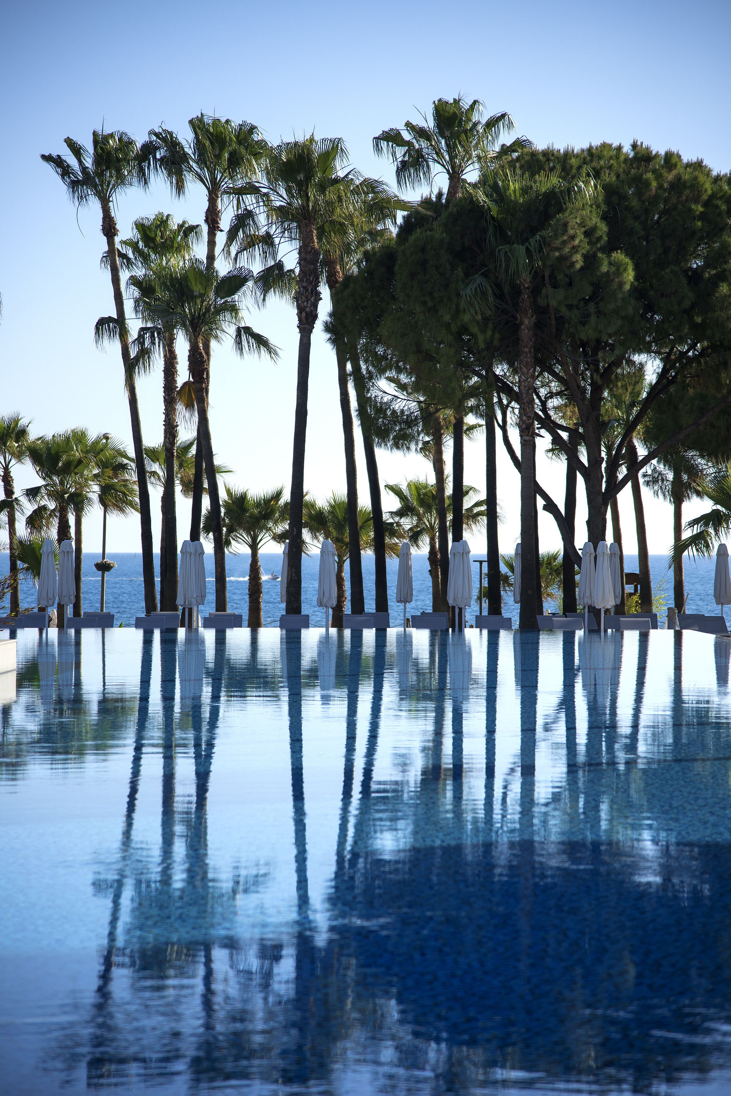Acanthus Cennet Barut Collection