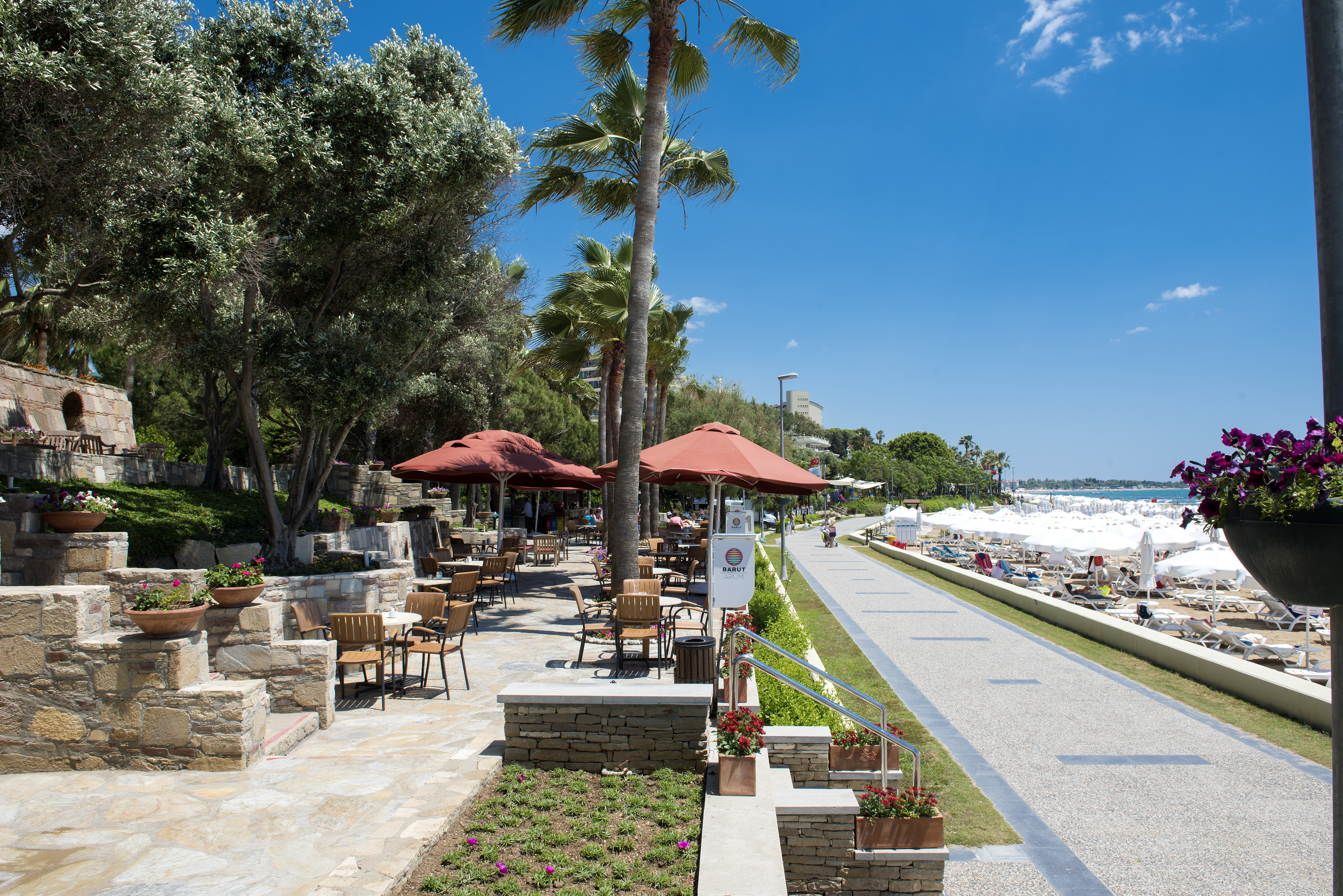 Arum Barut Collection