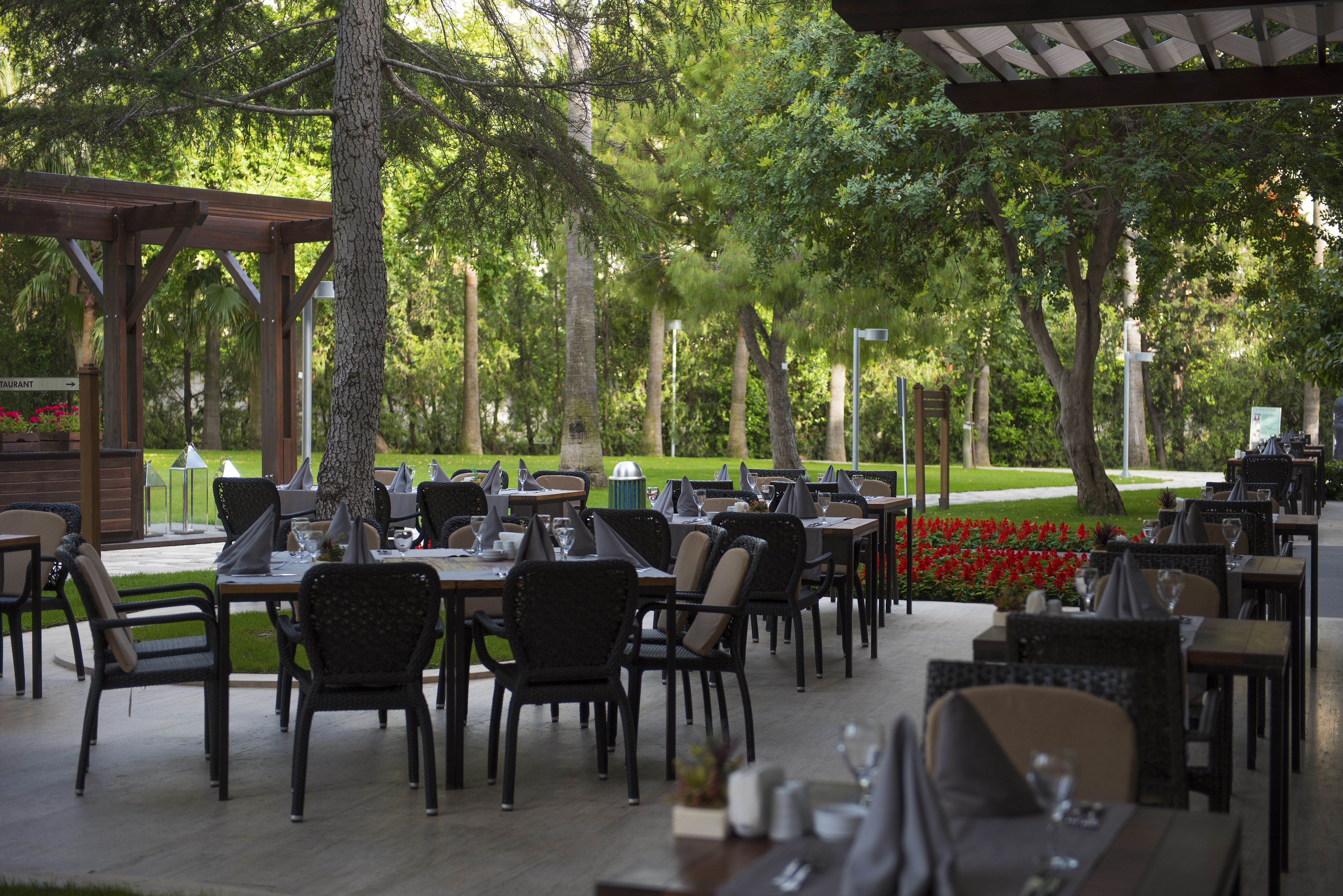 Barut Hemera