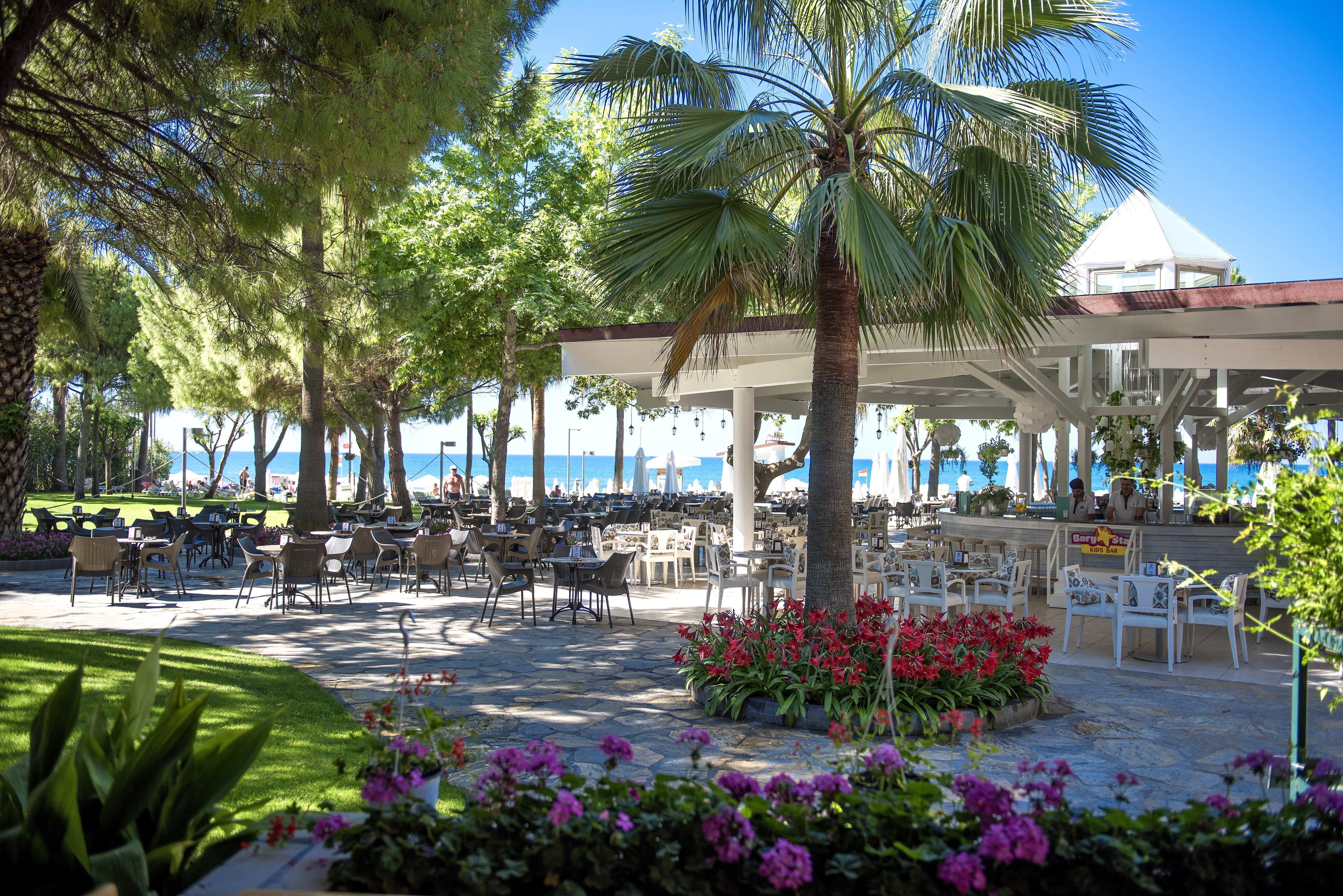 Barut Hemera