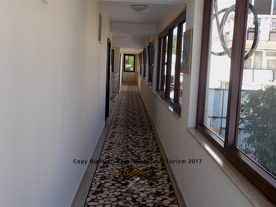 Ceren Family Suit