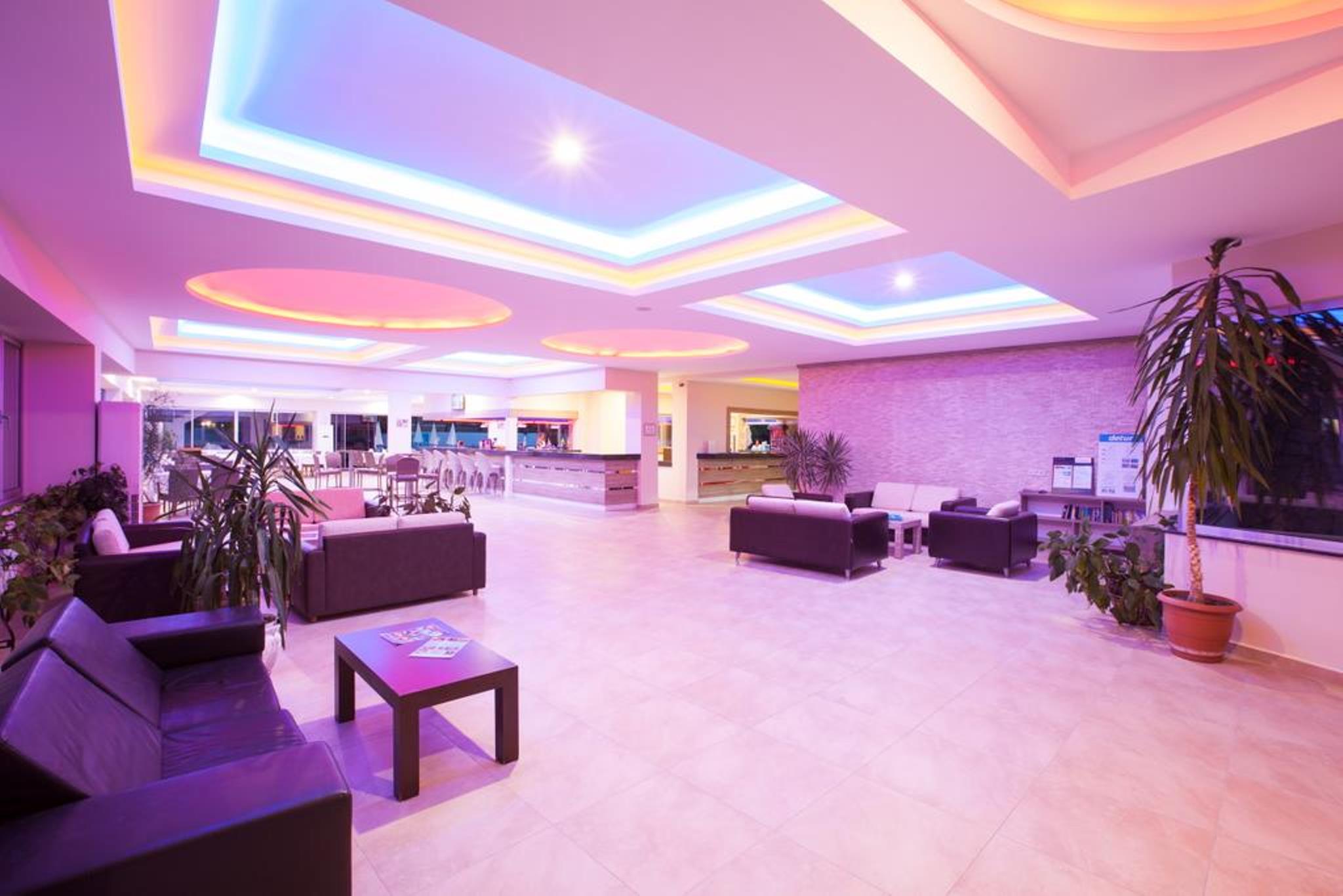 Catty Cats Garden Hotel