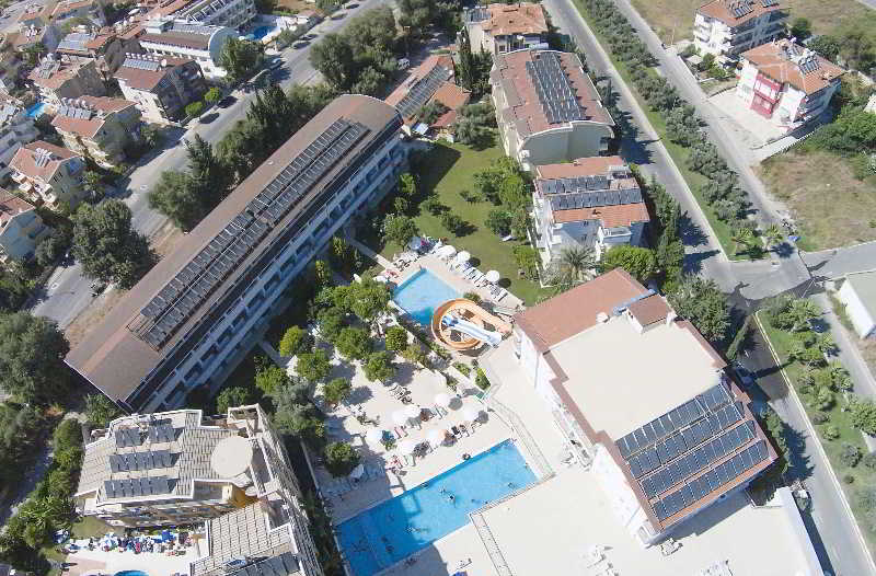 Catty Cats Garden Hotel