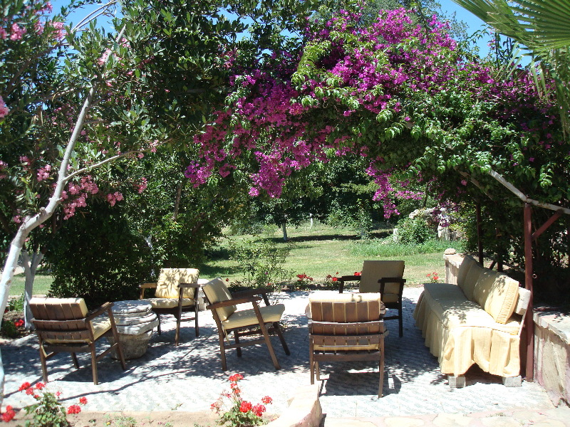 Neptün Hotel