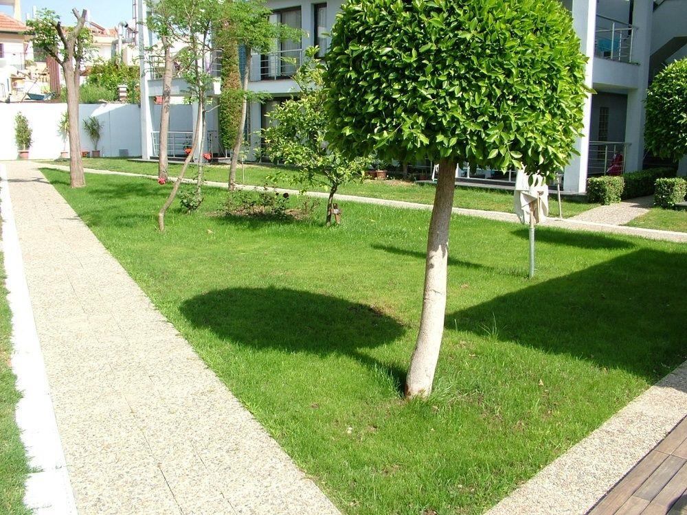 Side Garden Residence