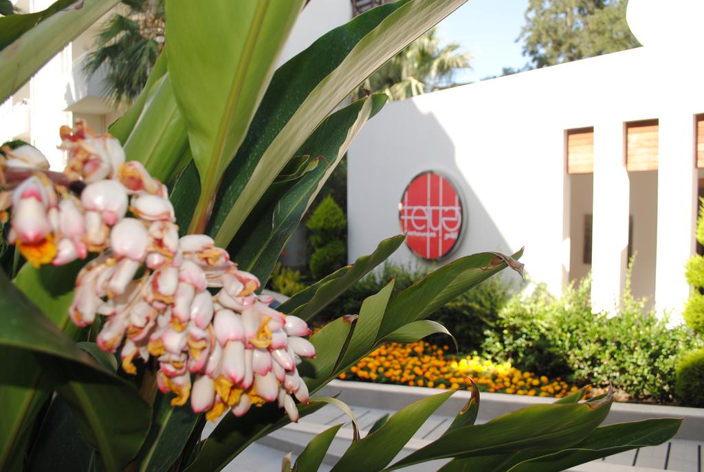 Calimera Side Resort