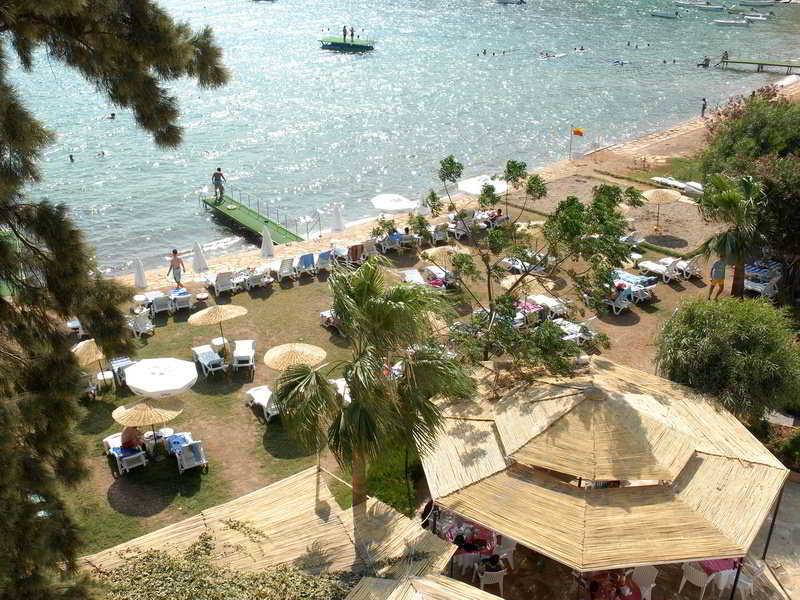 Altin Orfoz