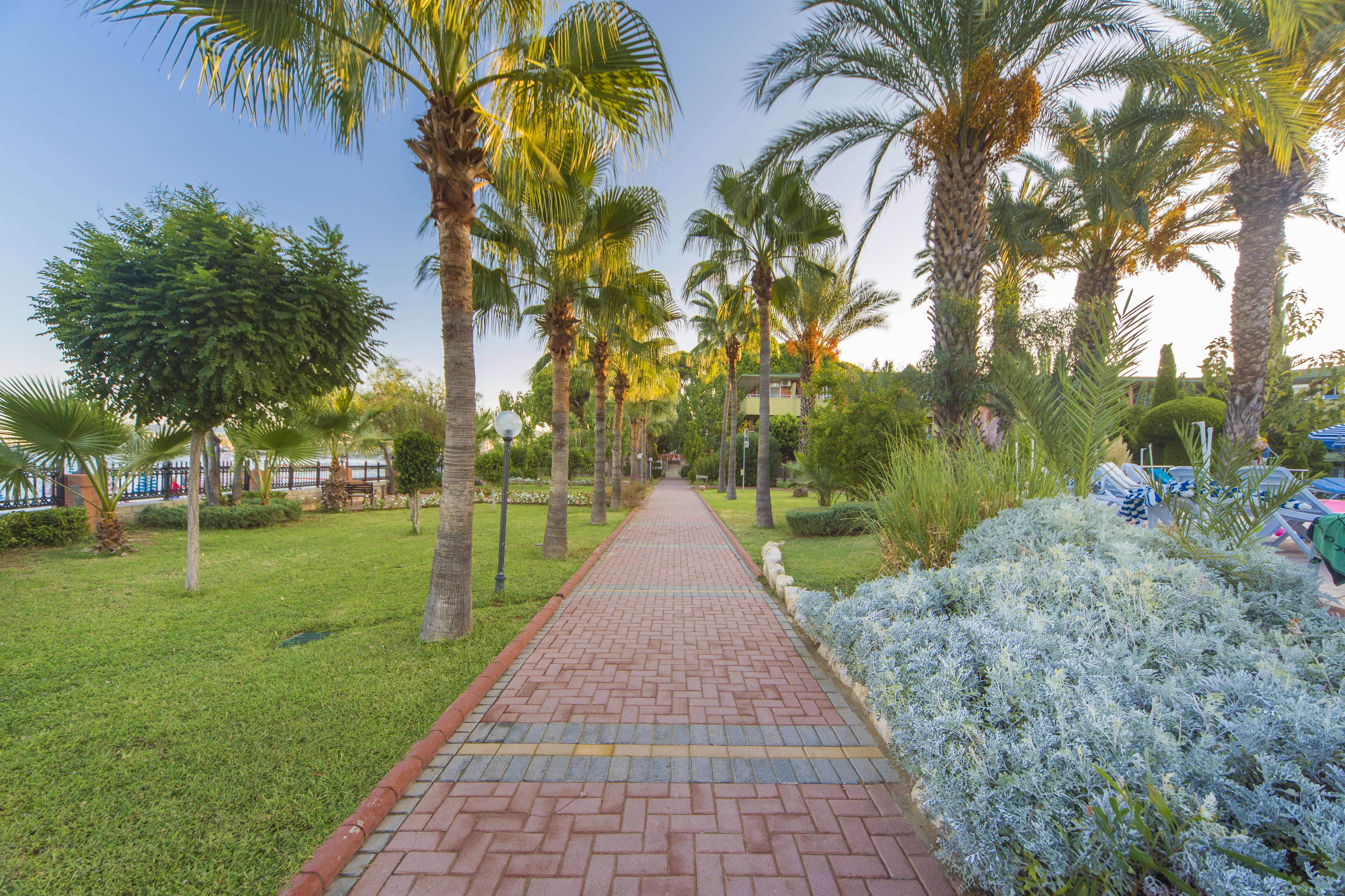 Lonicera World Hotel