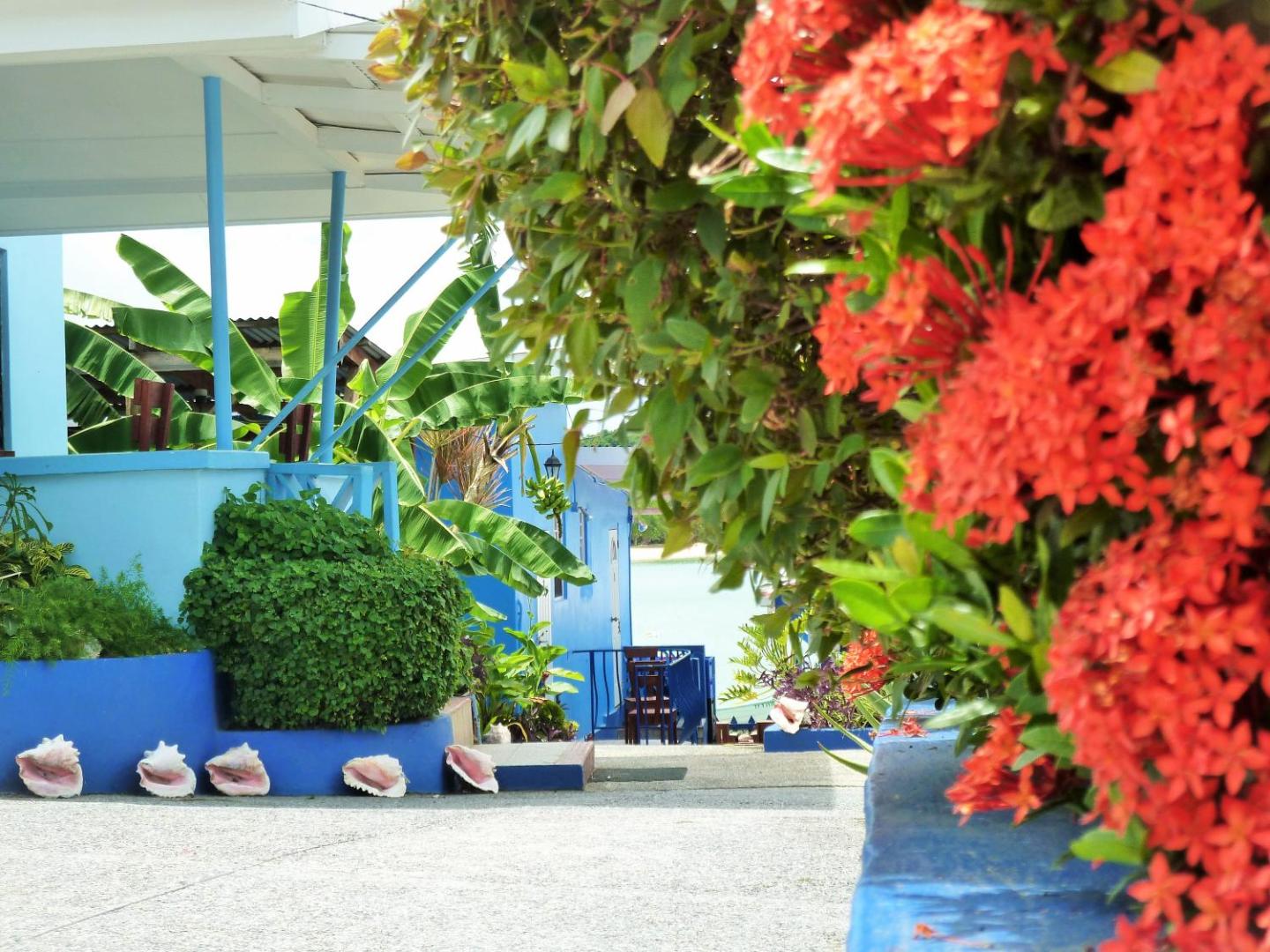 Miller's Guest House